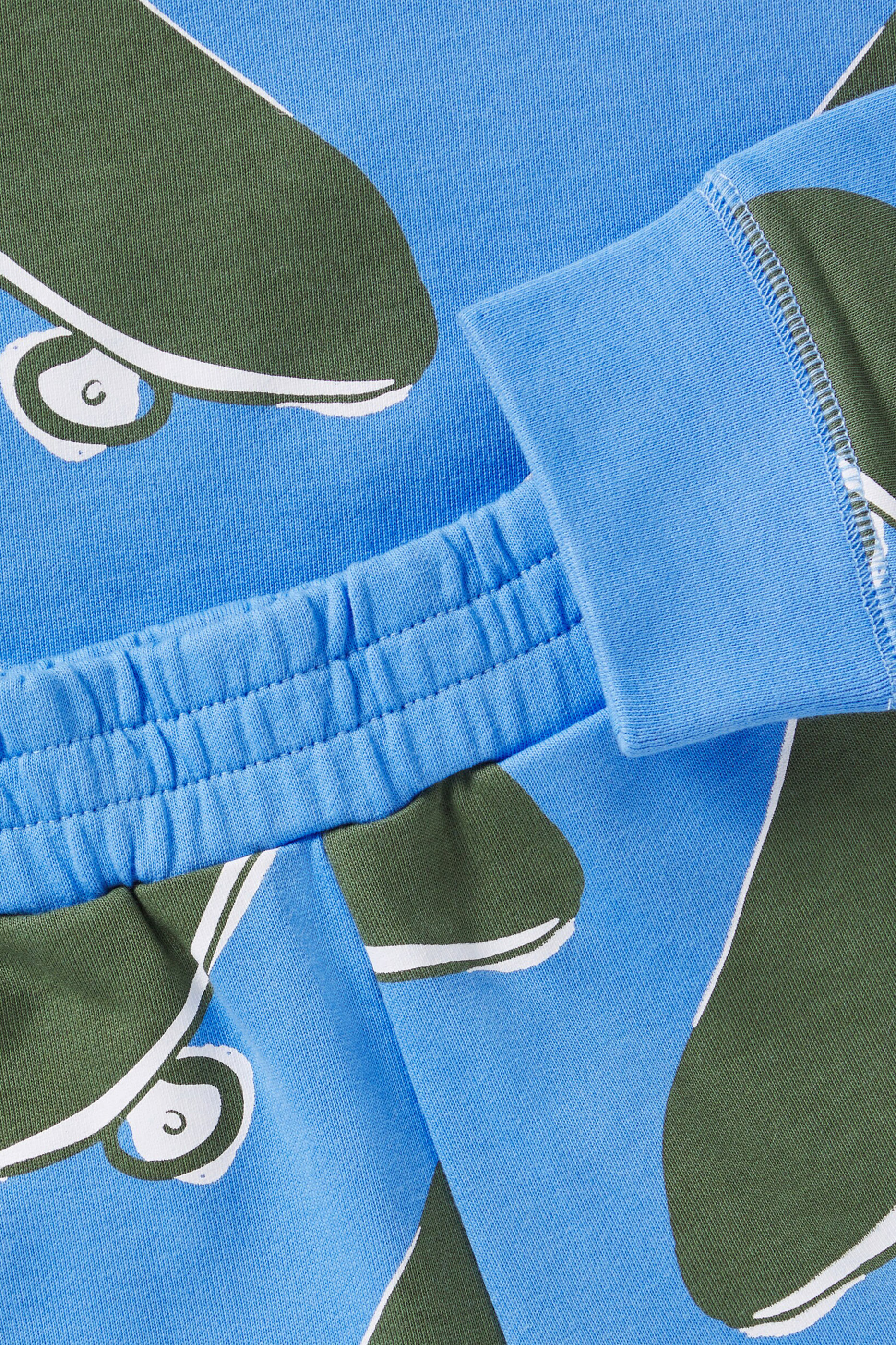 Kids Skateboard Printed Sweatshirt & Shorts Set