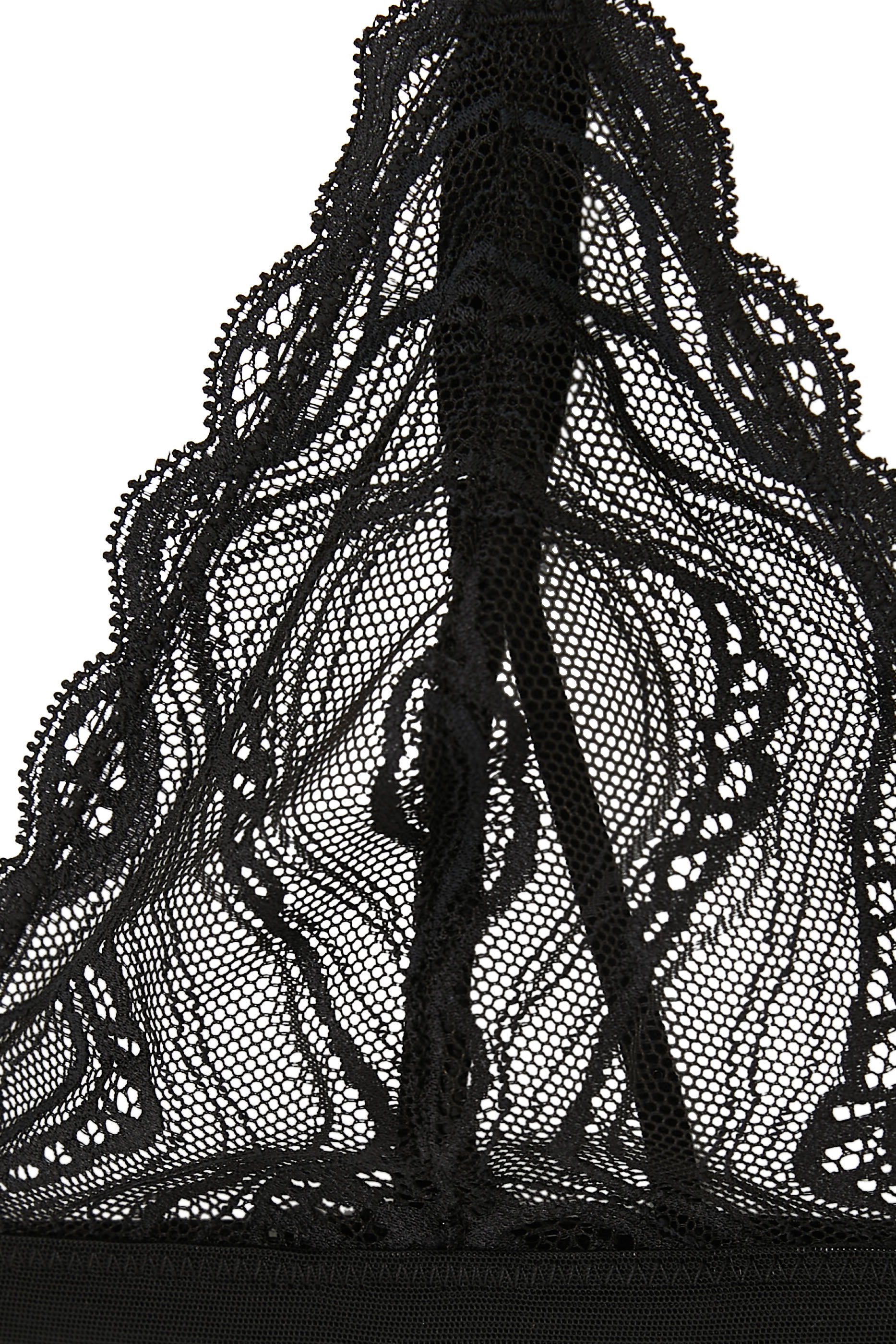 Lace Unlined Triangle Bra