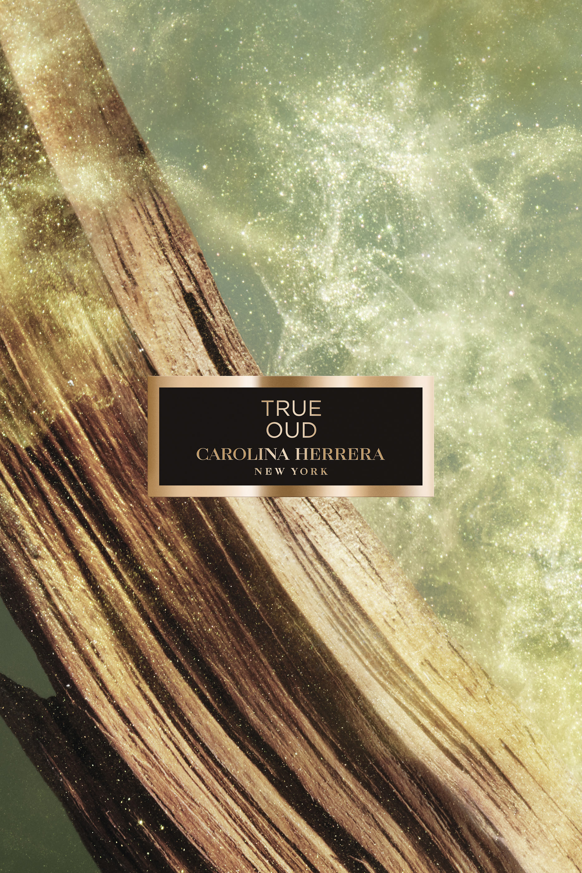 True Oud Eau de Parfum