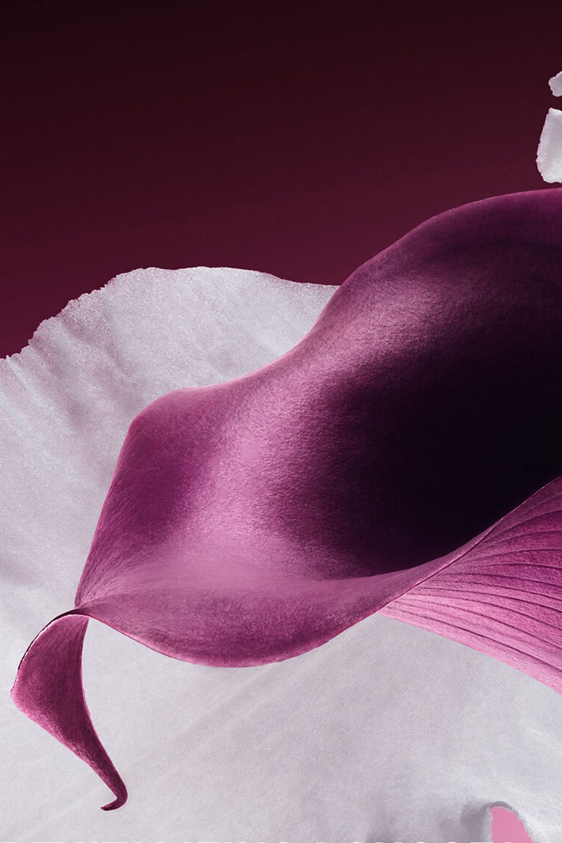 Capture Totale Le S&eacute;rum