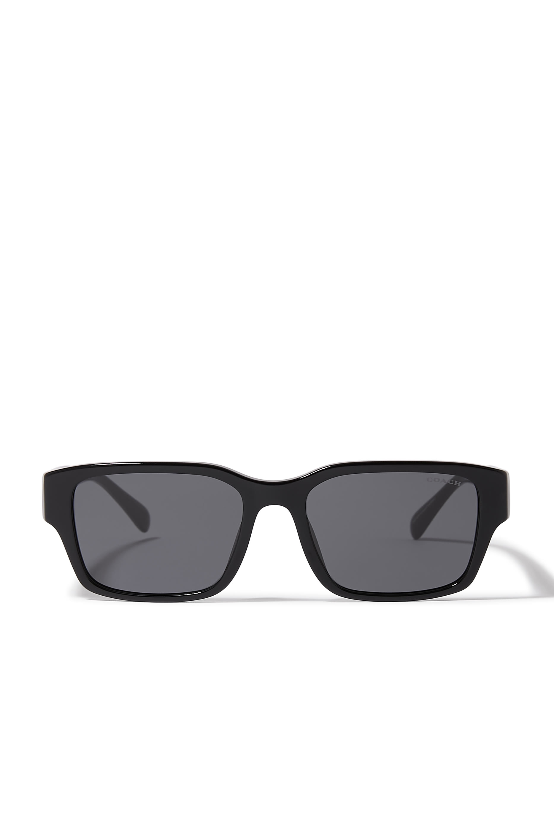 D-Frame Maxi C Temple Sunglasses