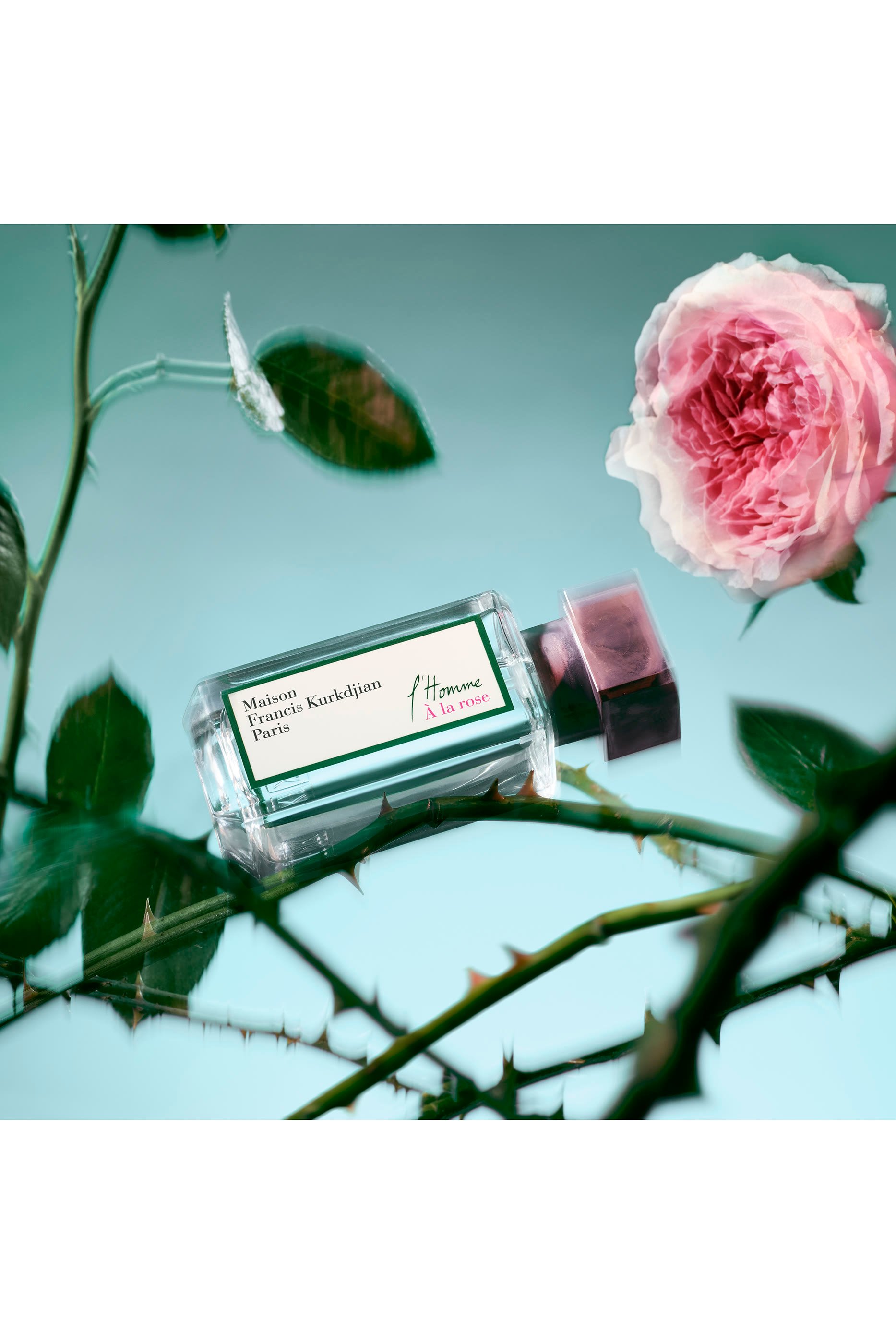 L'Homme &Agrave; la Rose Eau de Parfum