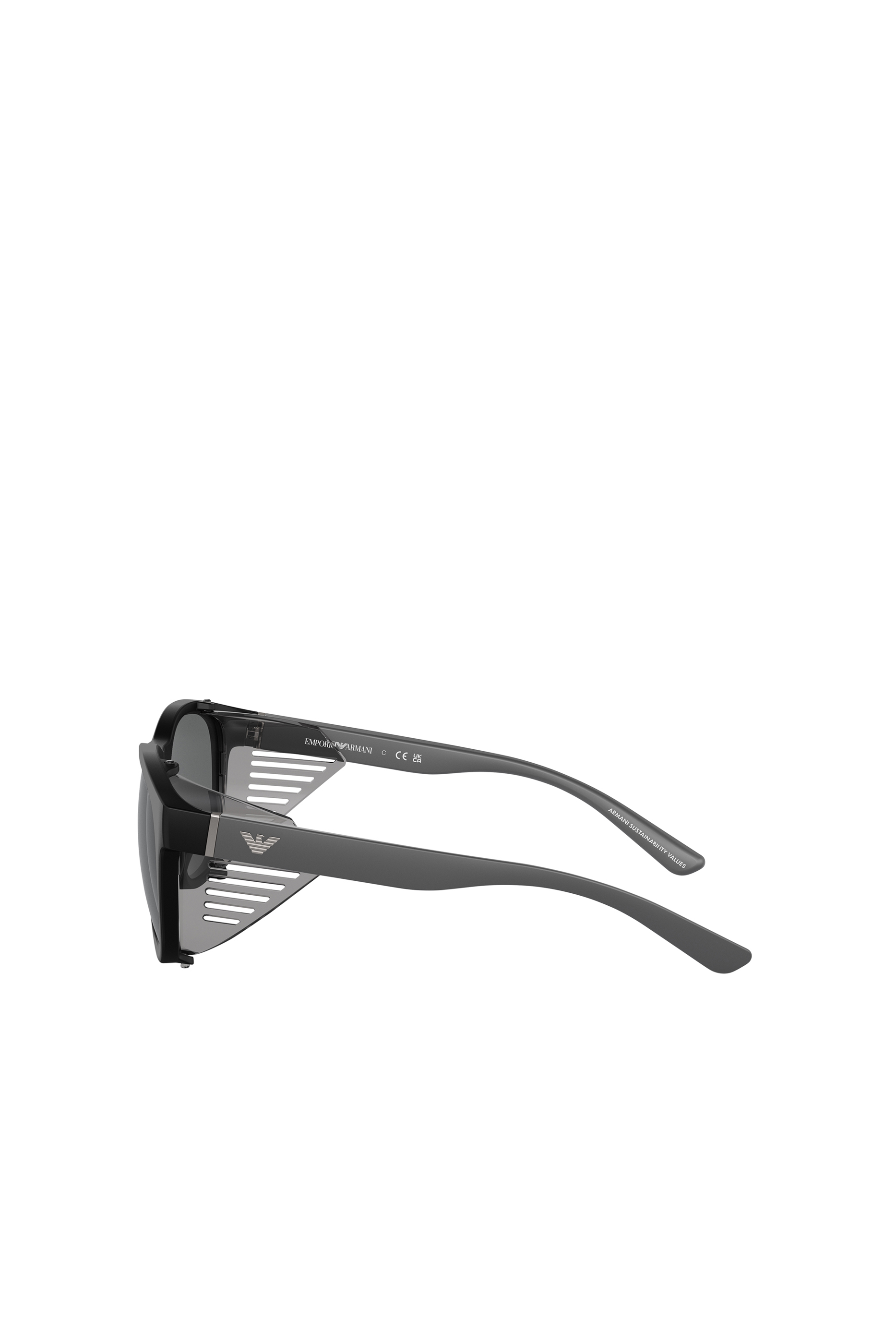 D-Frame Sunglasses With Interchangeable Temples