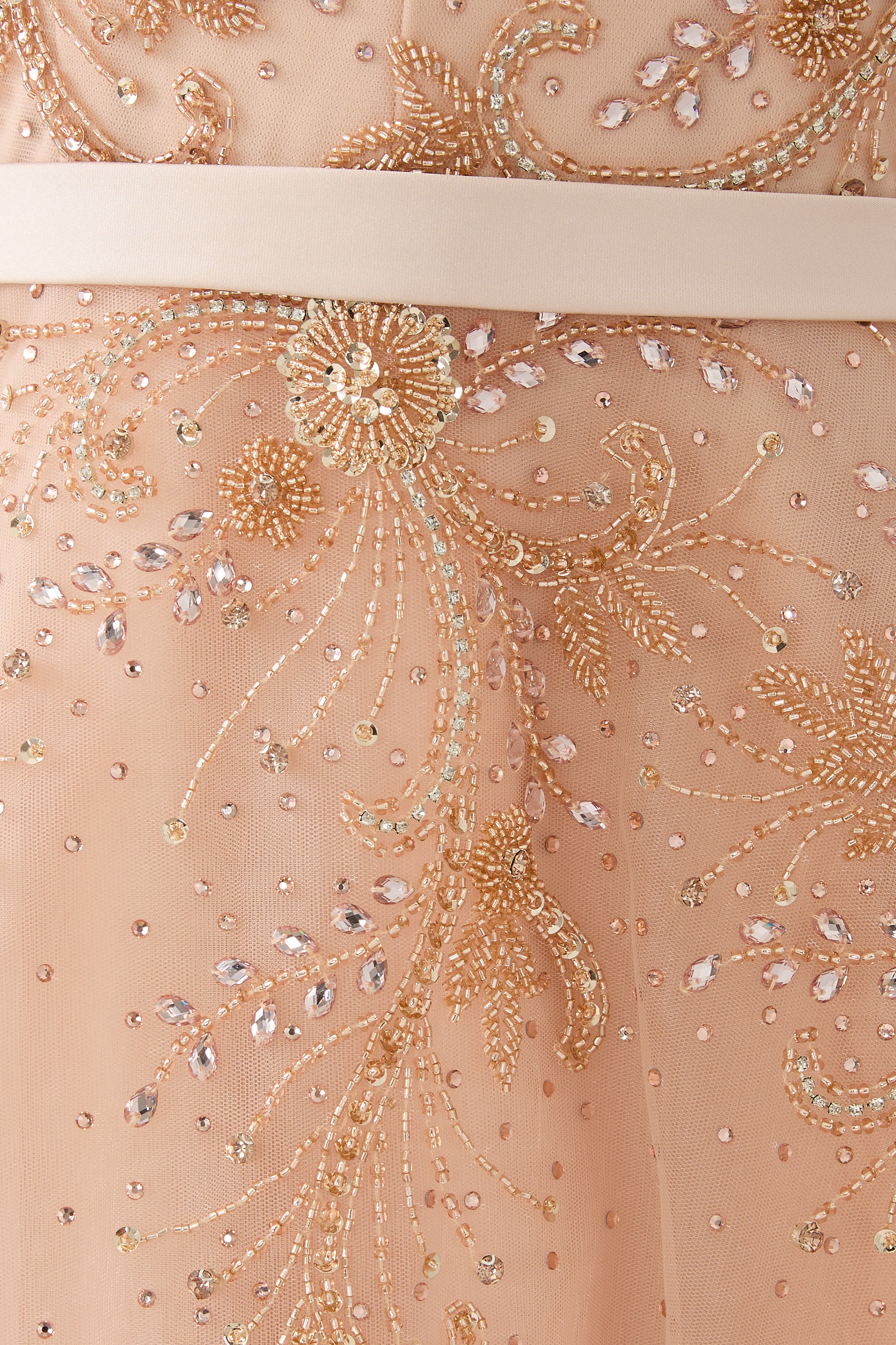 Long Sleeves Tulle Gown