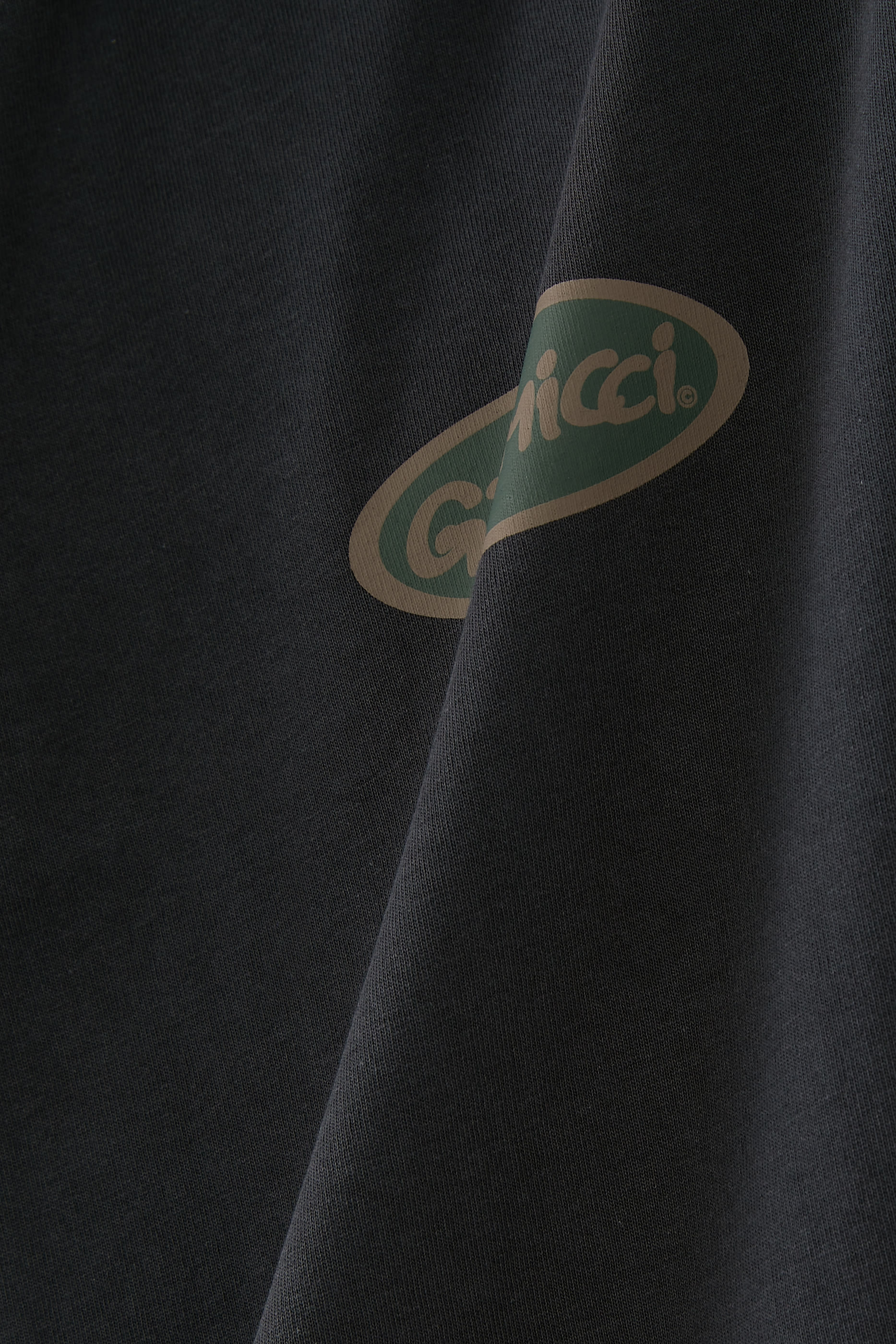 Gramicci Oval T-Shirt