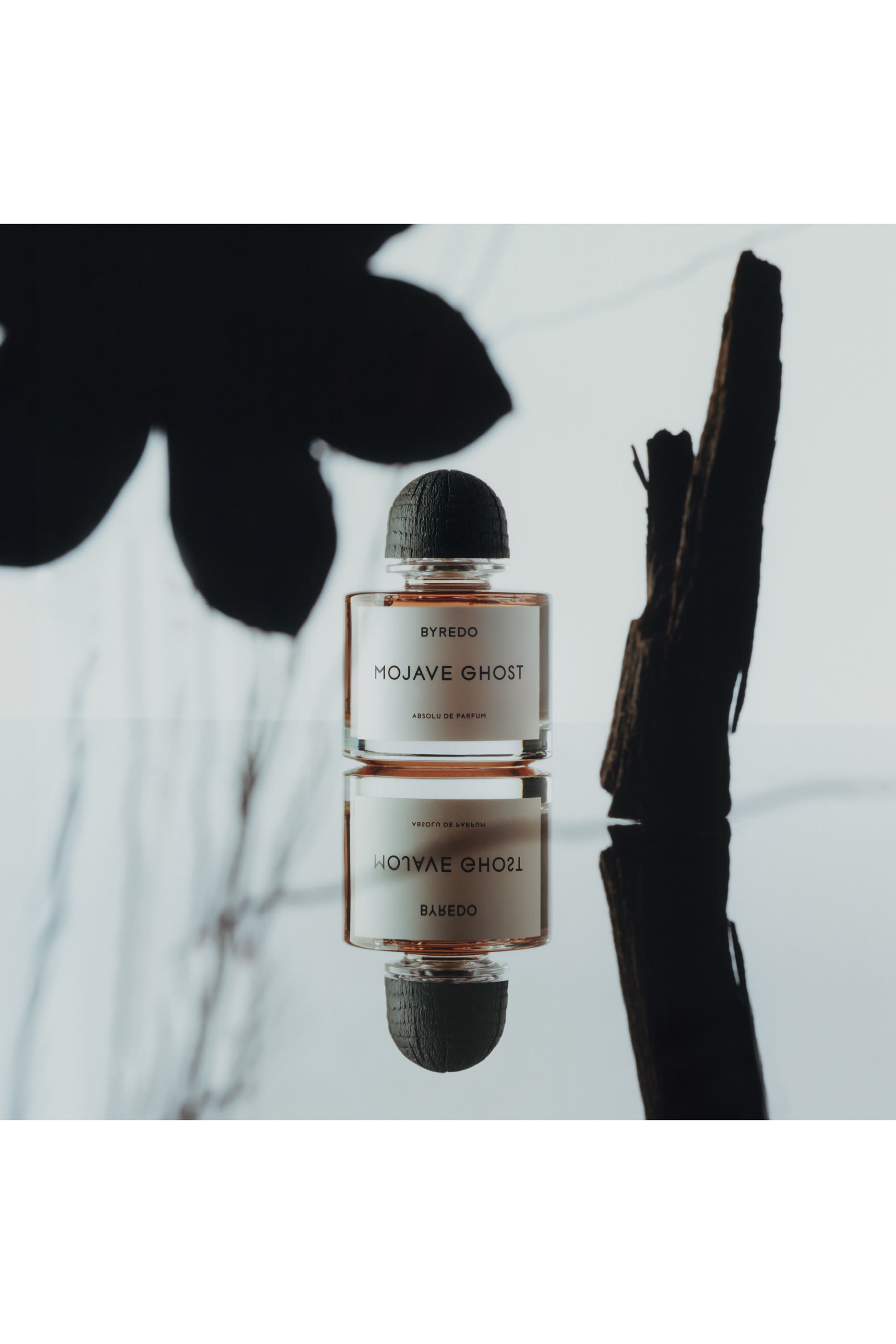 Mojave Ghost Absolu de Parfum