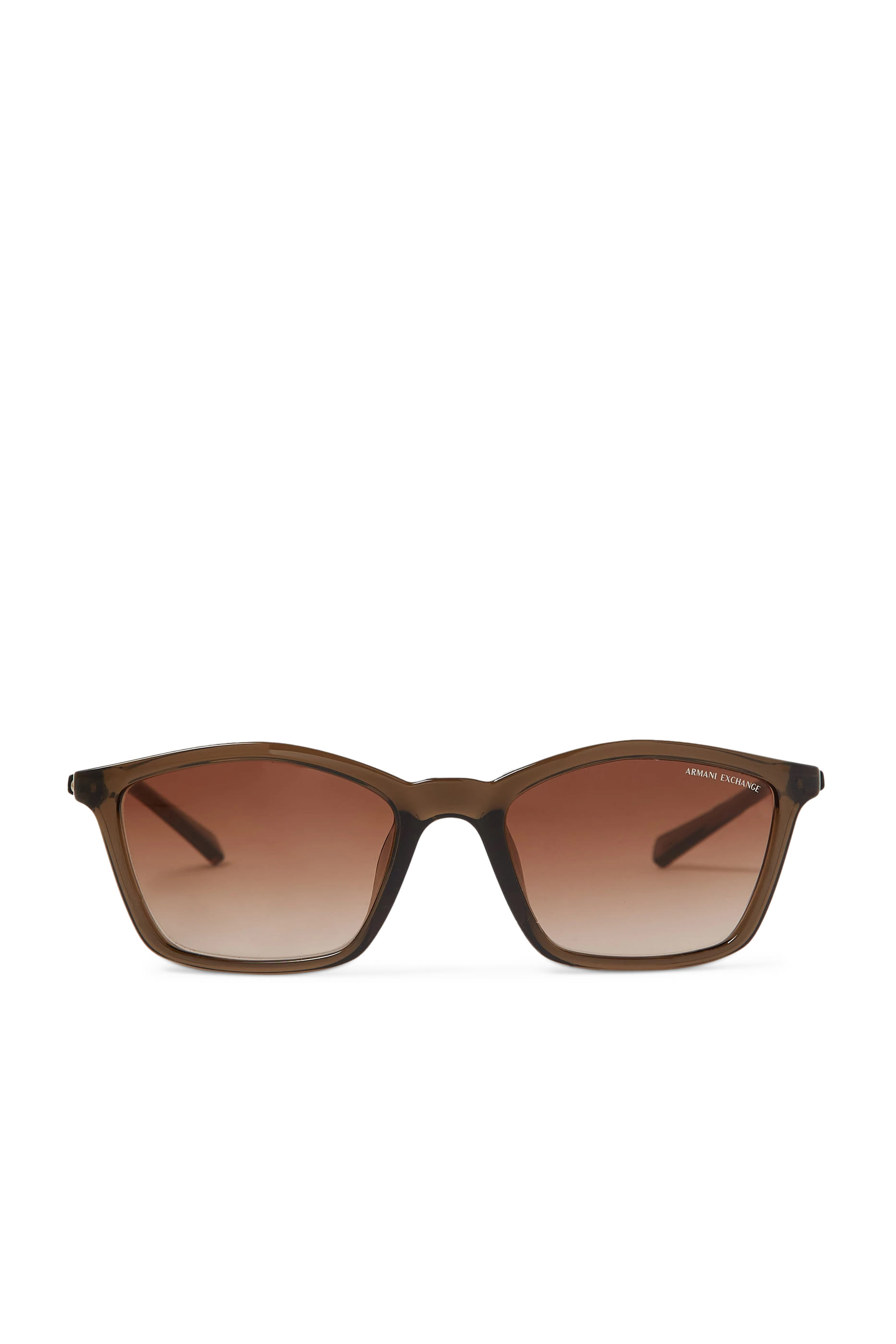 4146S D-Frame Sunglasses