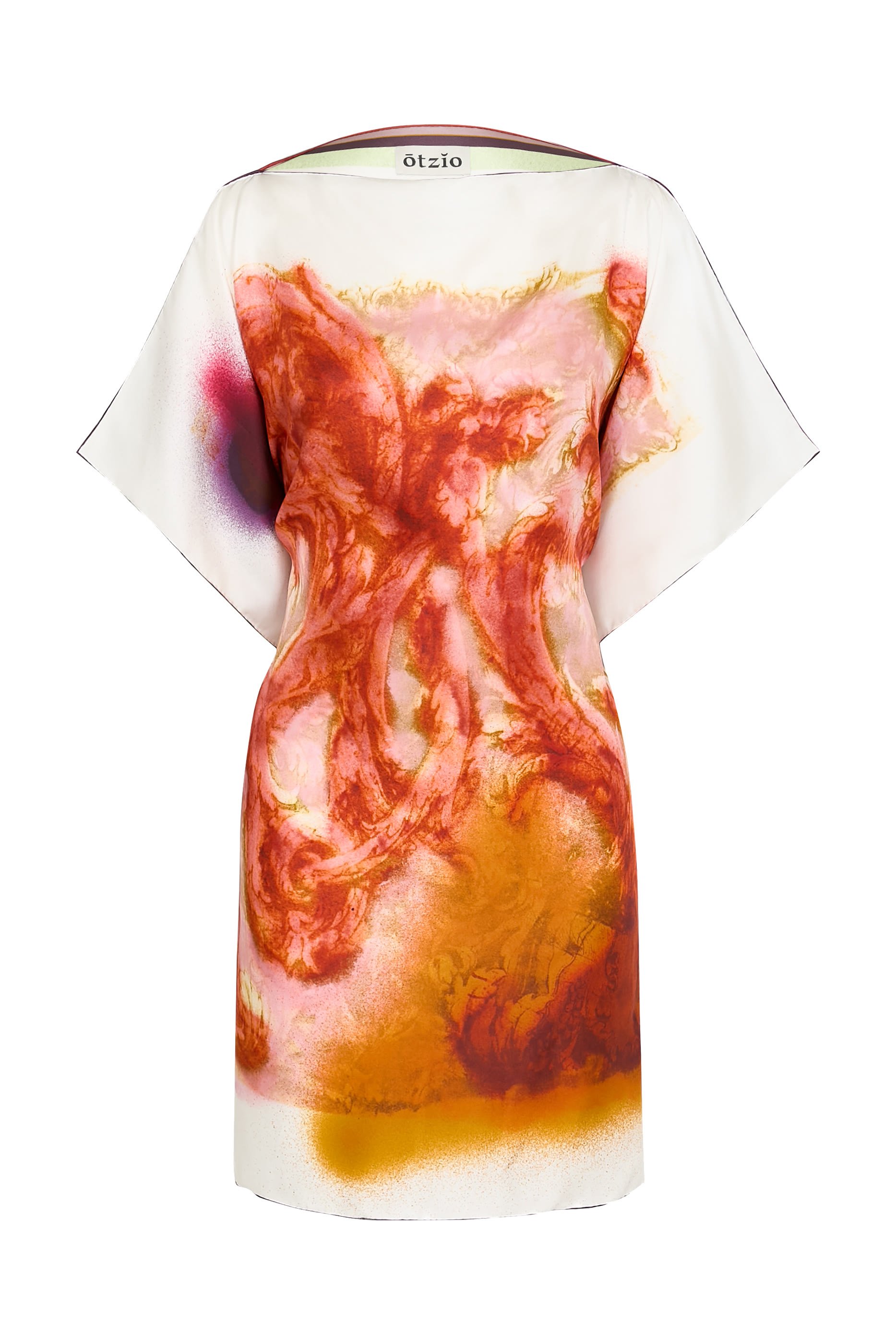  Carla Printed Tunic Top 