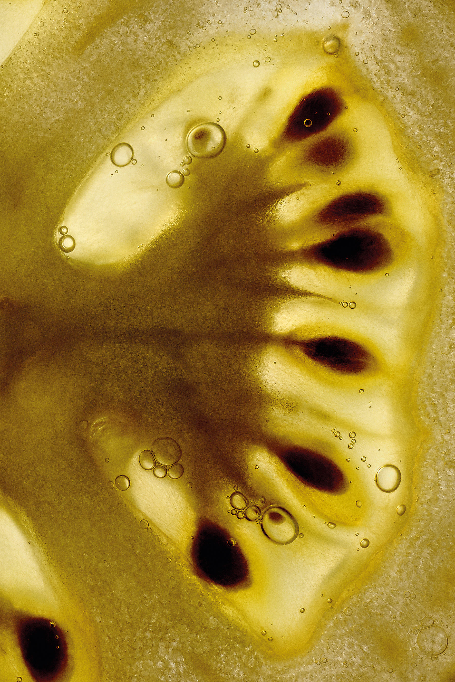 Tomato Leaves Hand Cream