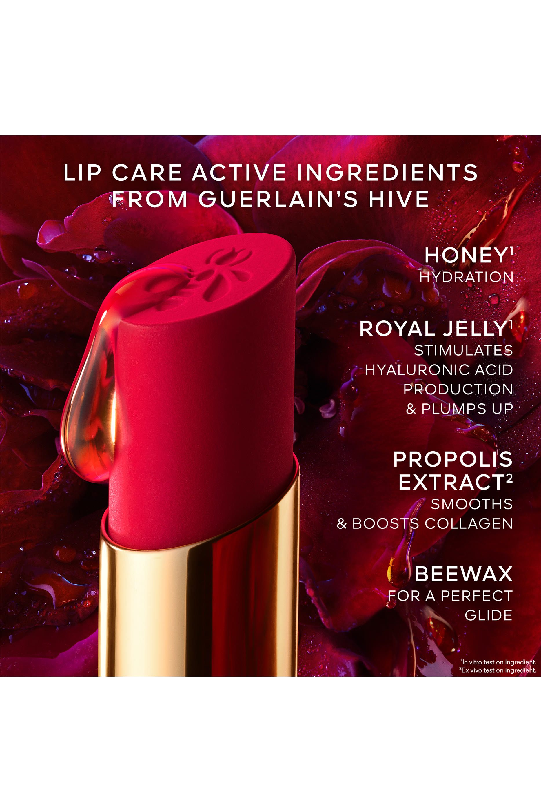 KissKiss Lipstick