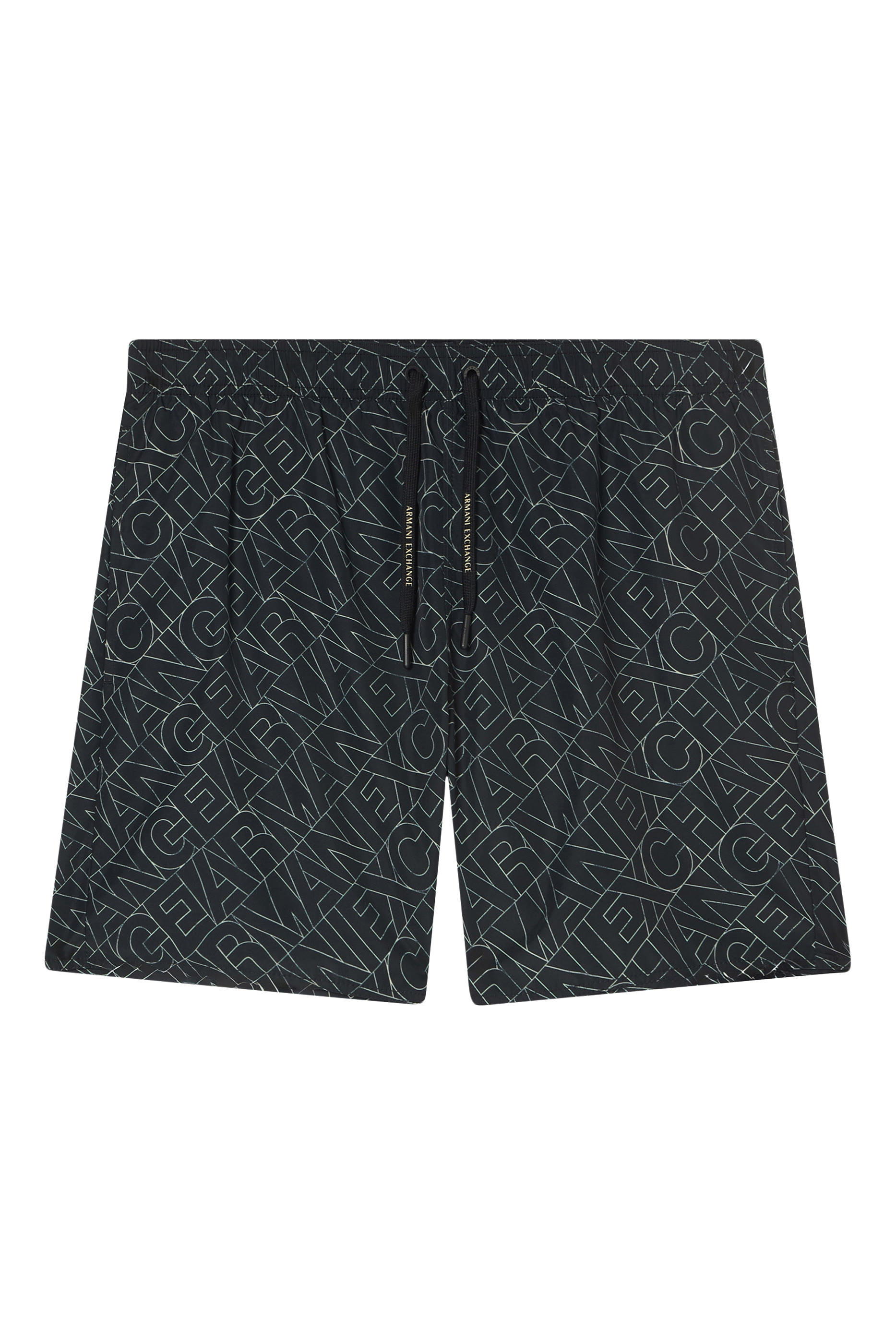 Icon Boxer Swim Shorts