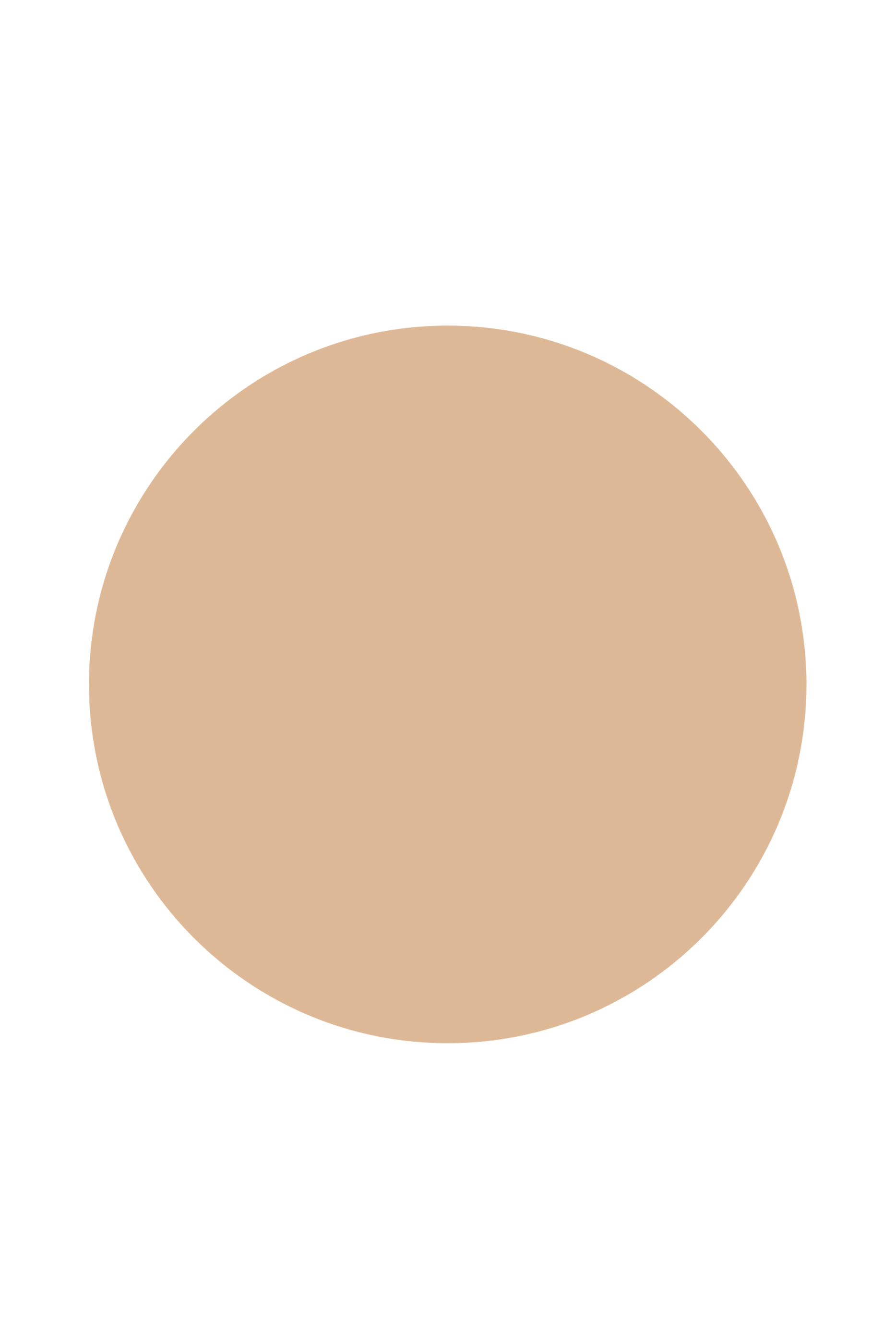 Parure Gold Skin Control Compact Powder