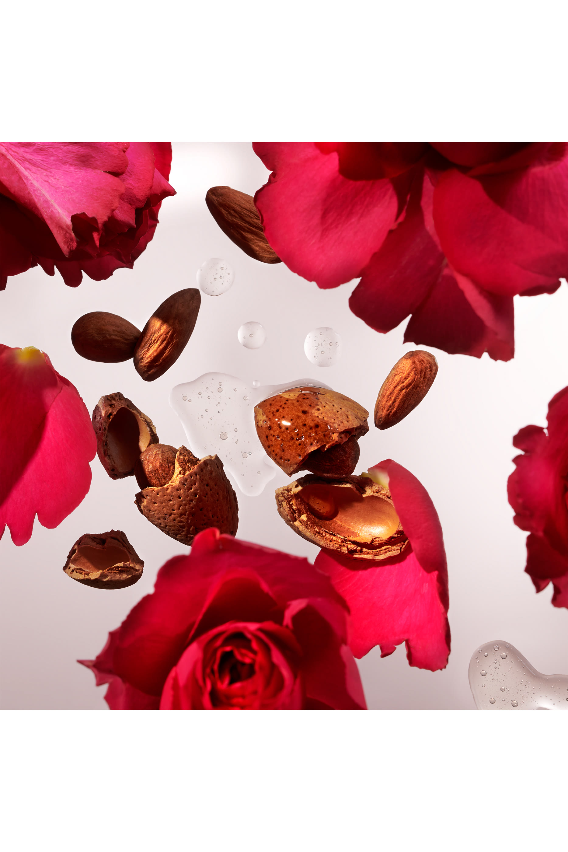 The Ritual of Ayurveda Refill