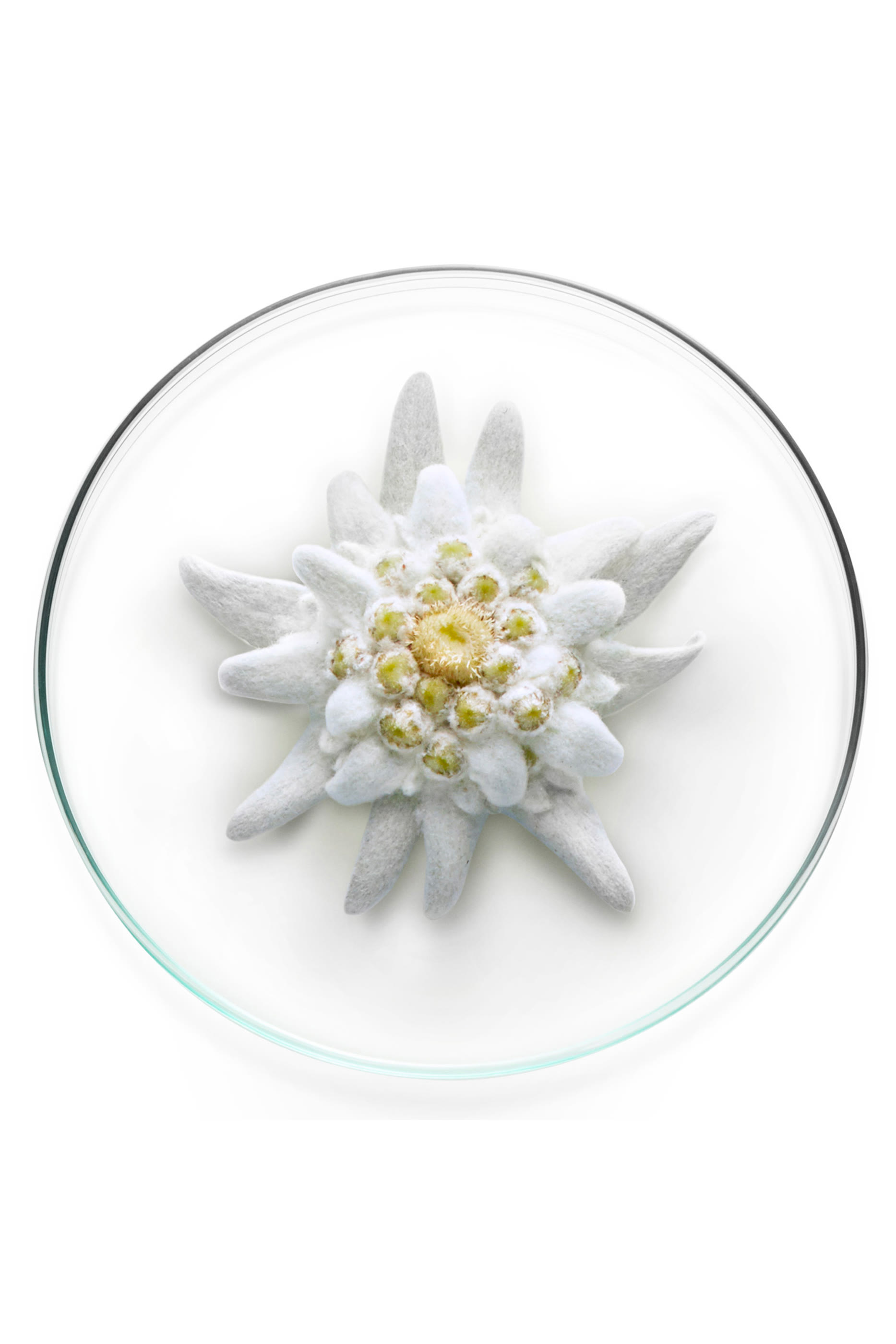 UV Expert Aqua Gel Spf 50