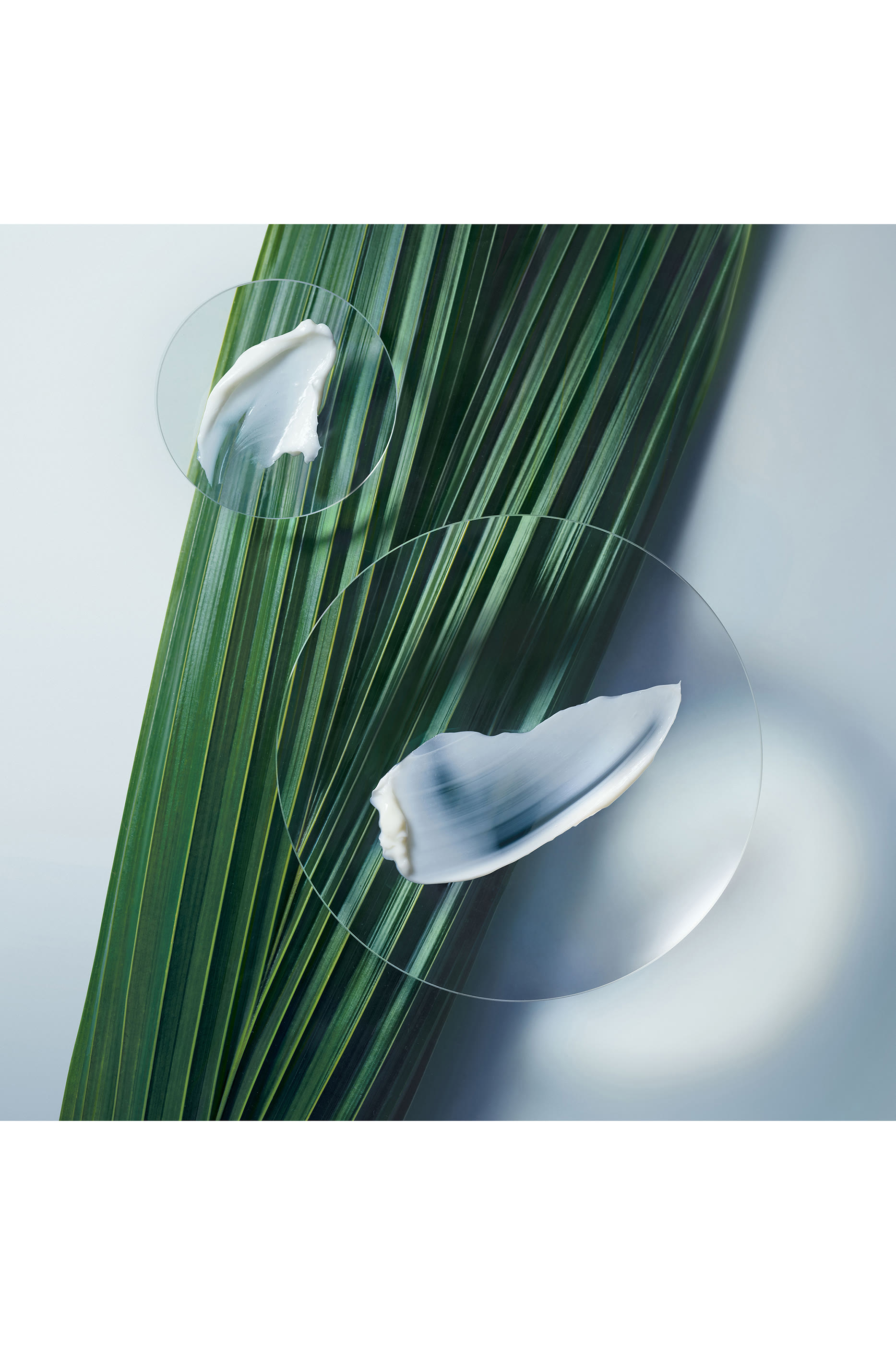 Botanical Repair&trade; Intensive Strengthening Masque &ndash; Rich