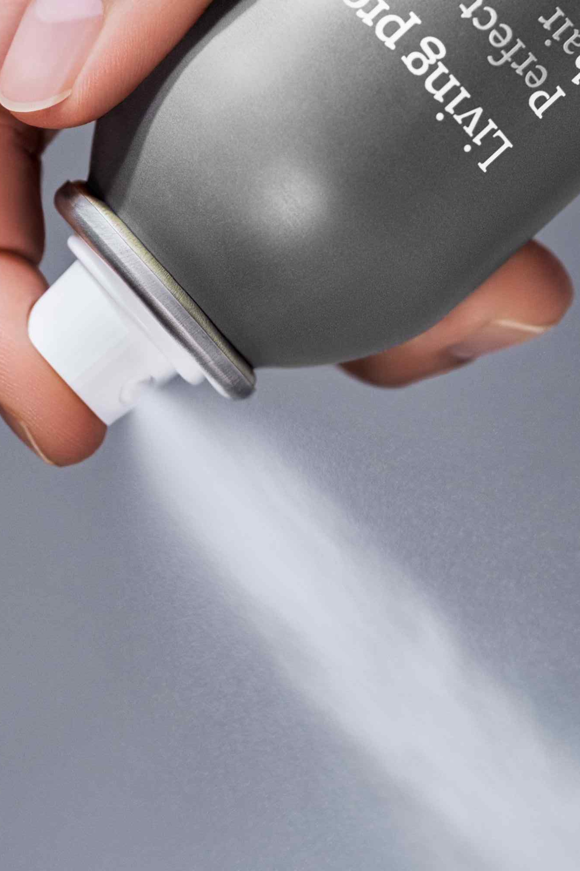 Perfect hair Day™ Dry Shampoo