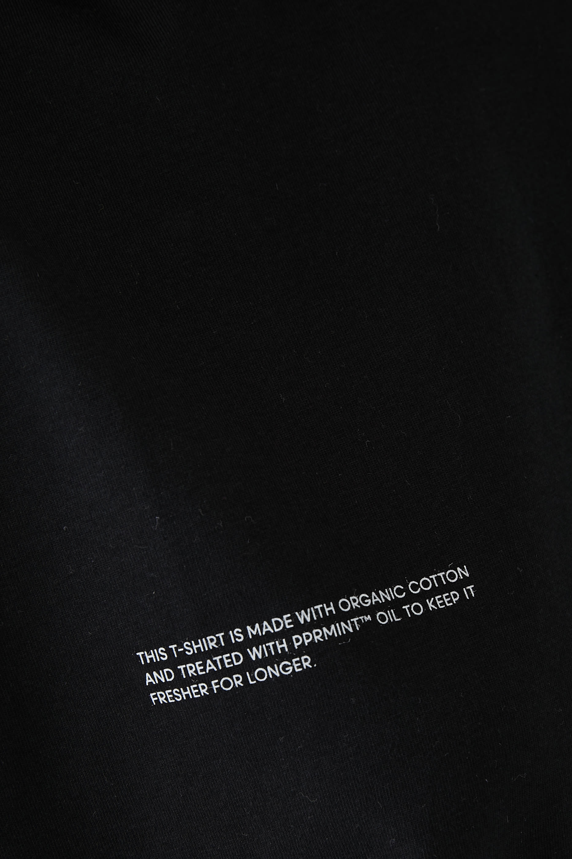 Organic Cotton T-Shirt