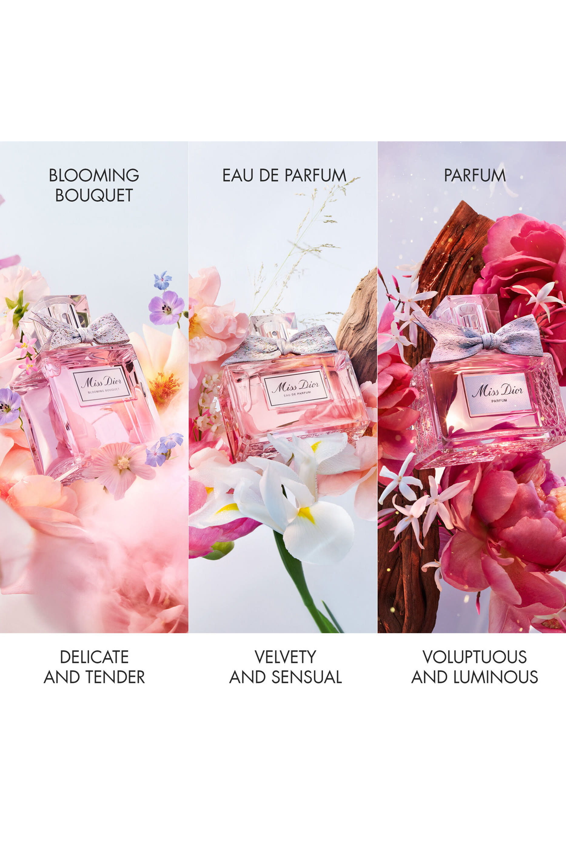 Miss Dior Blooming Bouquet Holiday Gift Set
