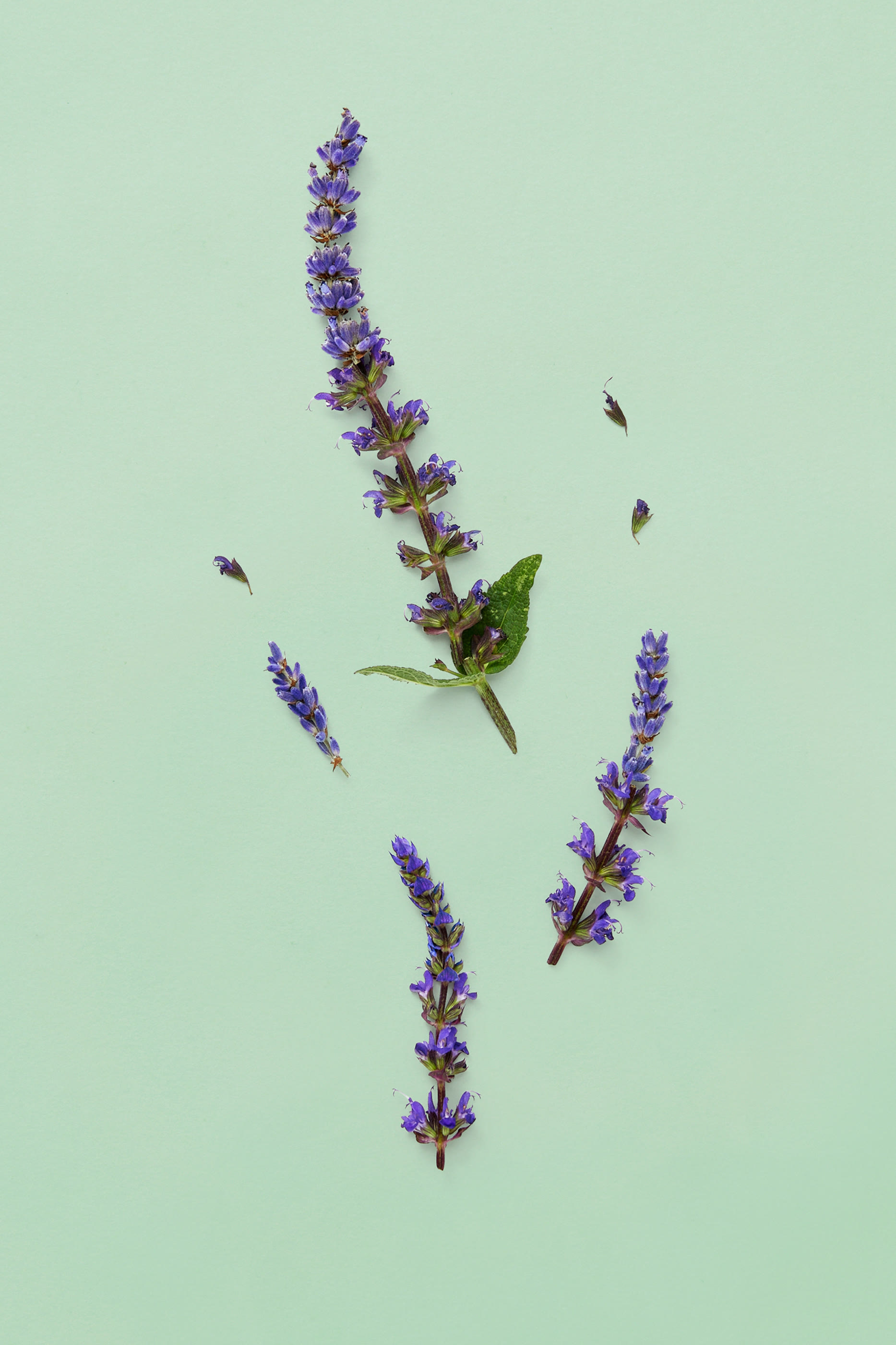 Gucci Guilty Pour Homme Eau de Parfum