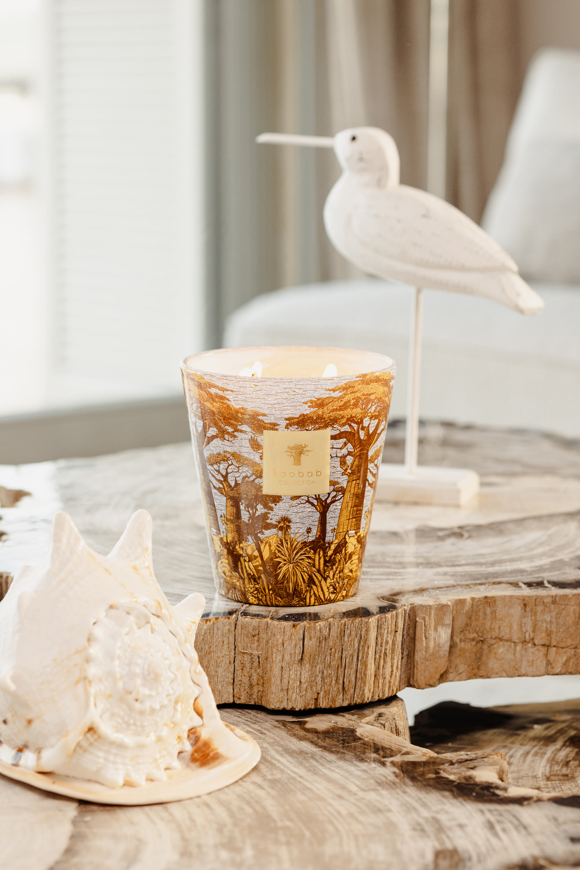 Max 35 Sacred Trees Cocody Candle