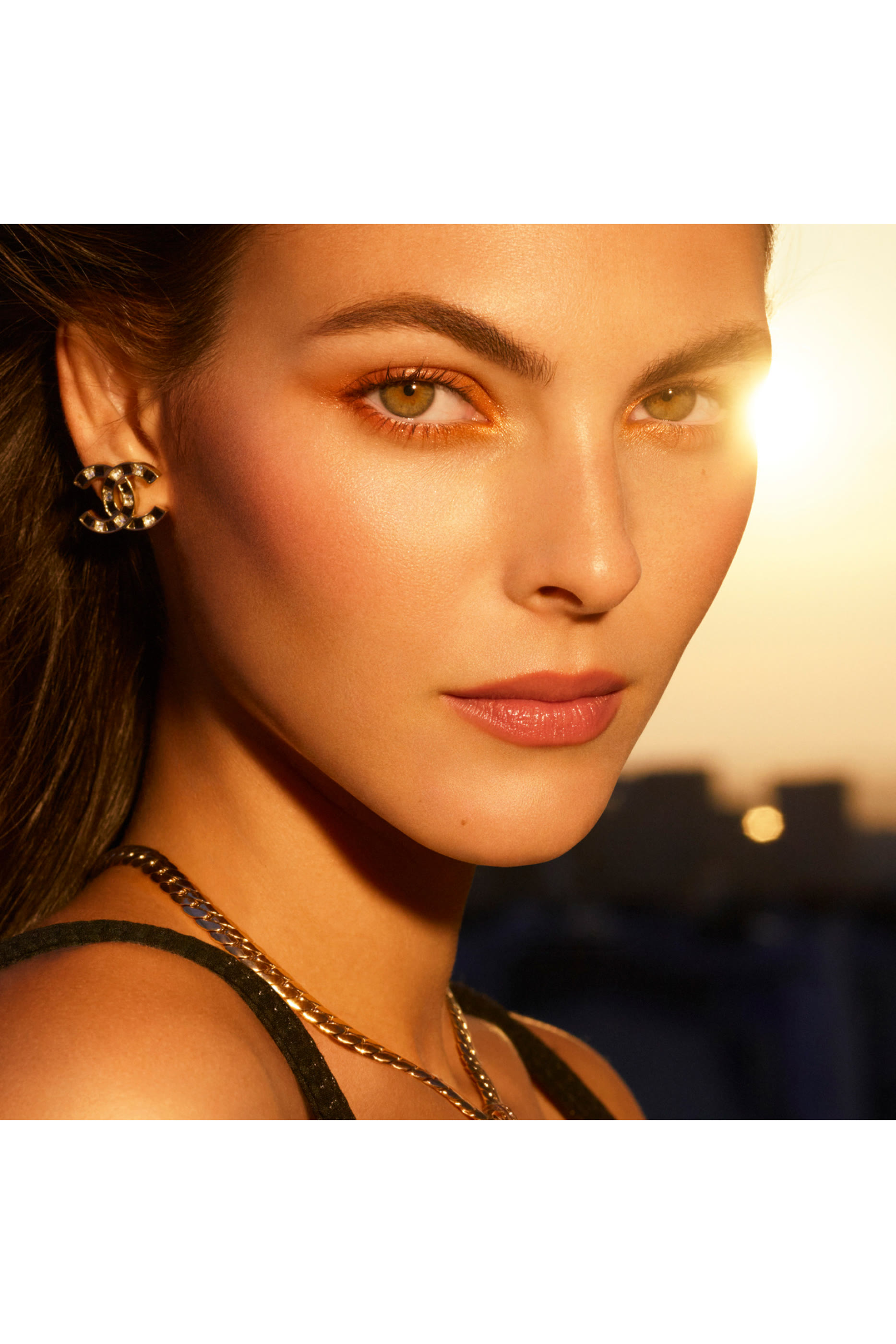 Rouge Coco Flash Lip Shine Colour