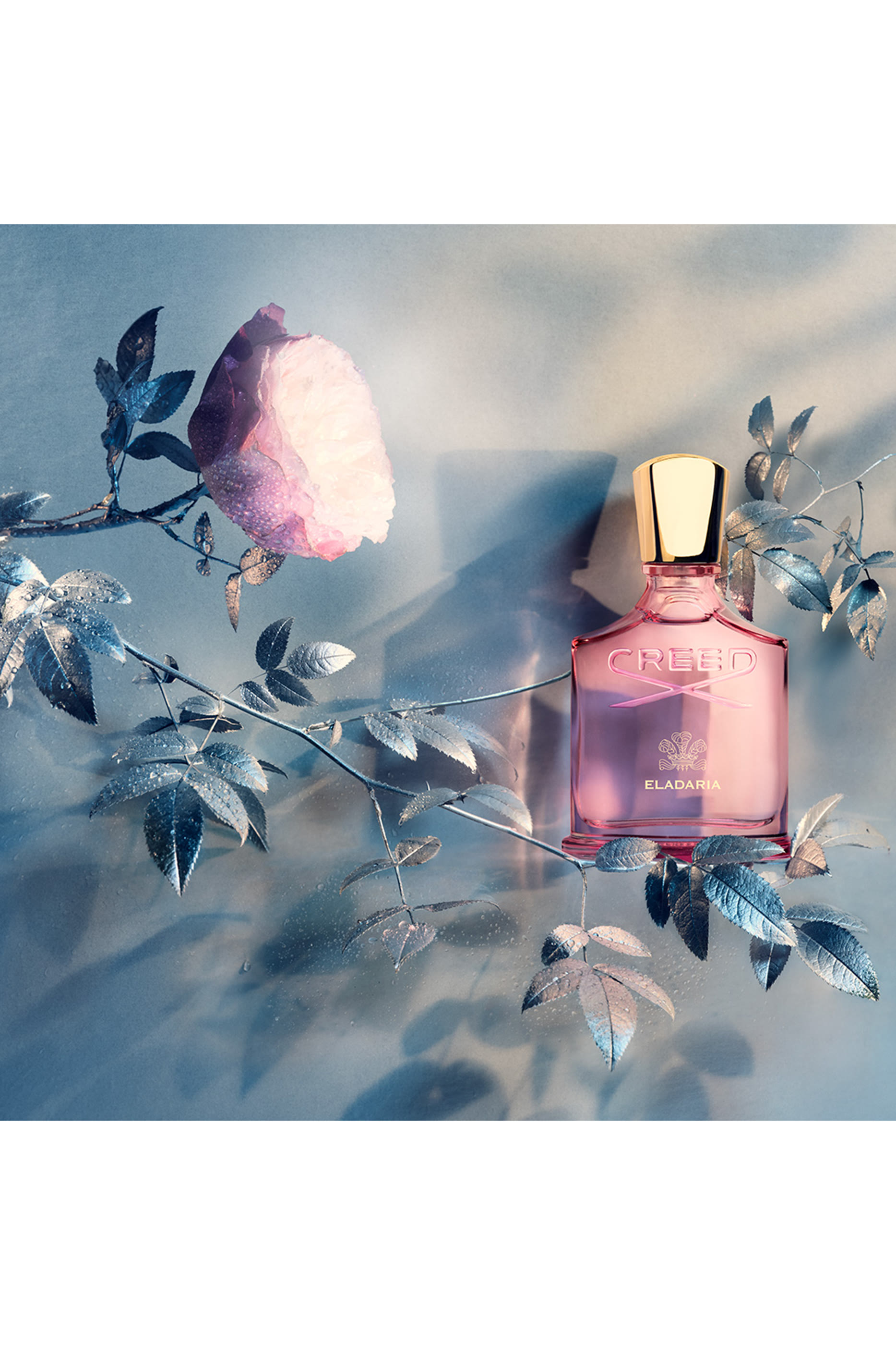 Millesime Eladaria Eau de Parfum