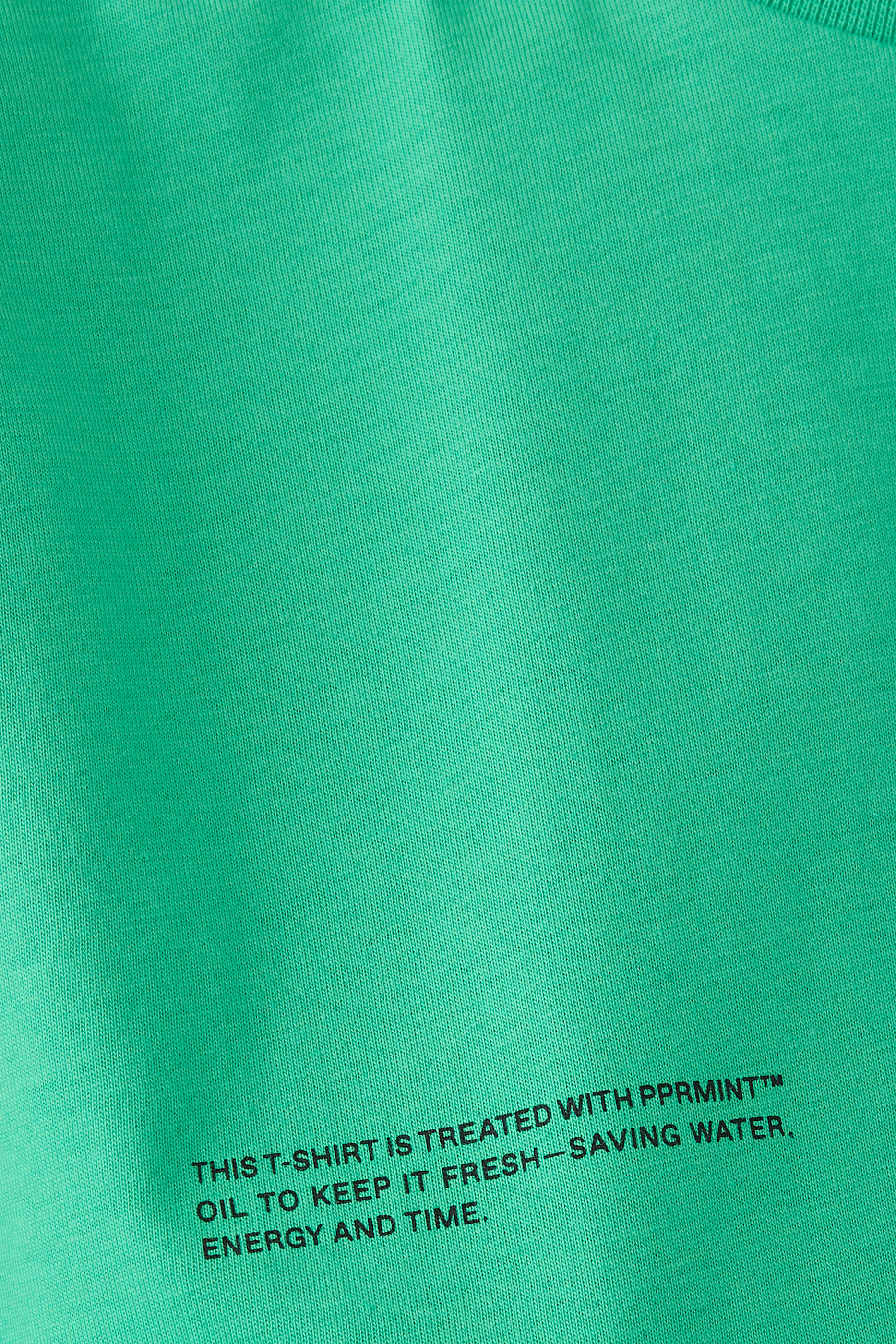 Organic Cotton T-Shirt