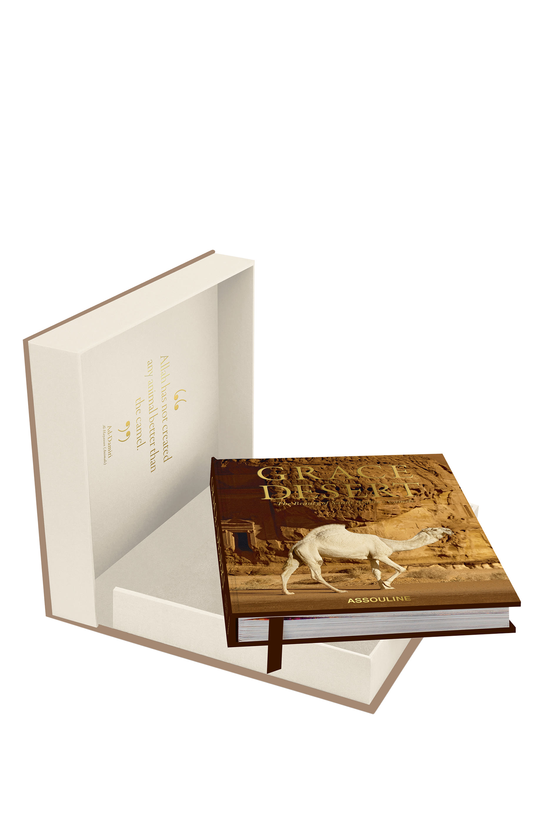 Grace in the Desert: The Beauty of Saudi Arabia&rsquo;s Camels