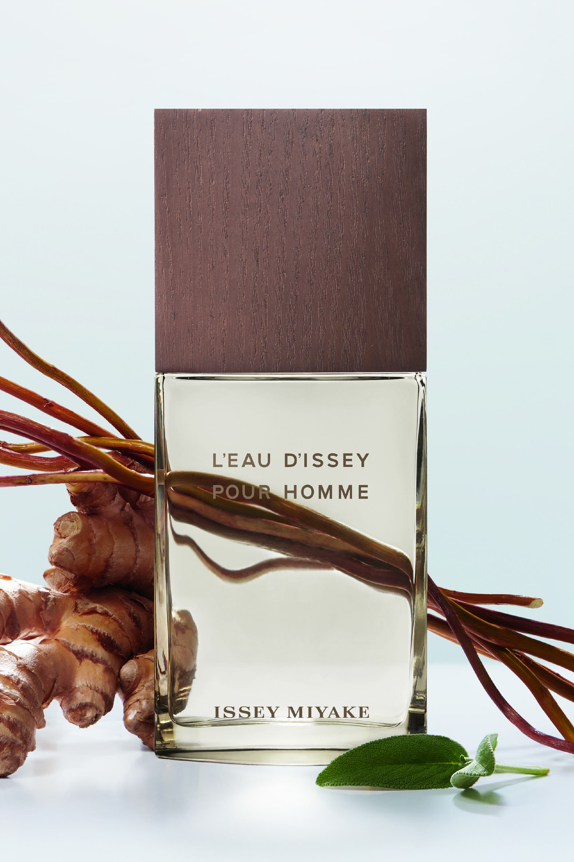 L'Eau D'Issey Pour Homme Vetiver Eau De Toilette
