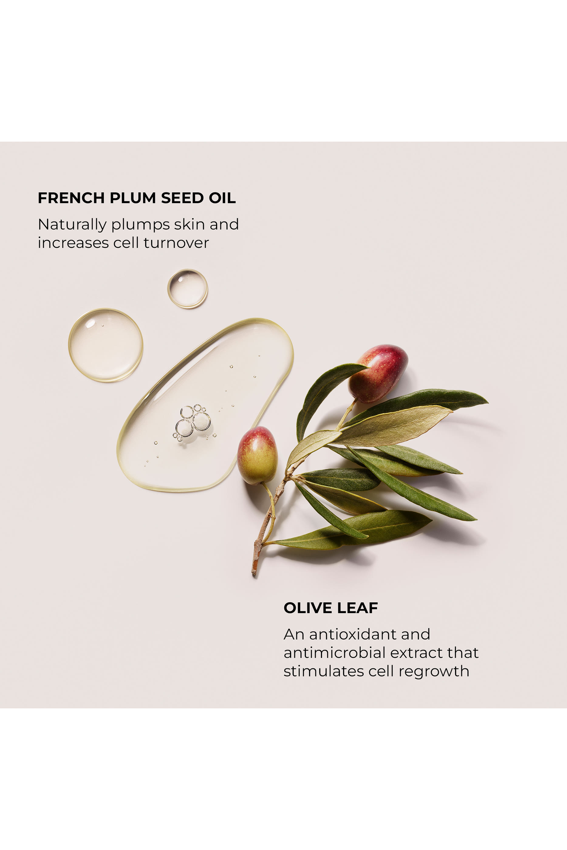 Ambre Vanille Exfoliating Body Wash