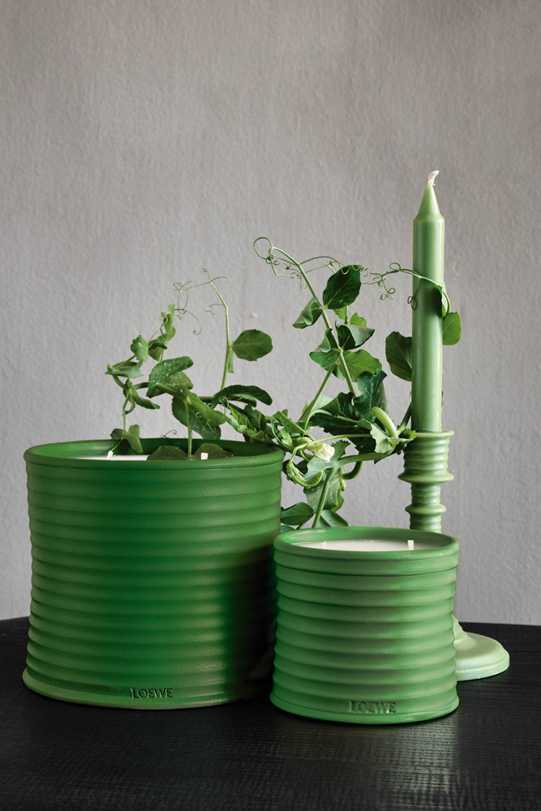 Luscious Pea Scented Candle