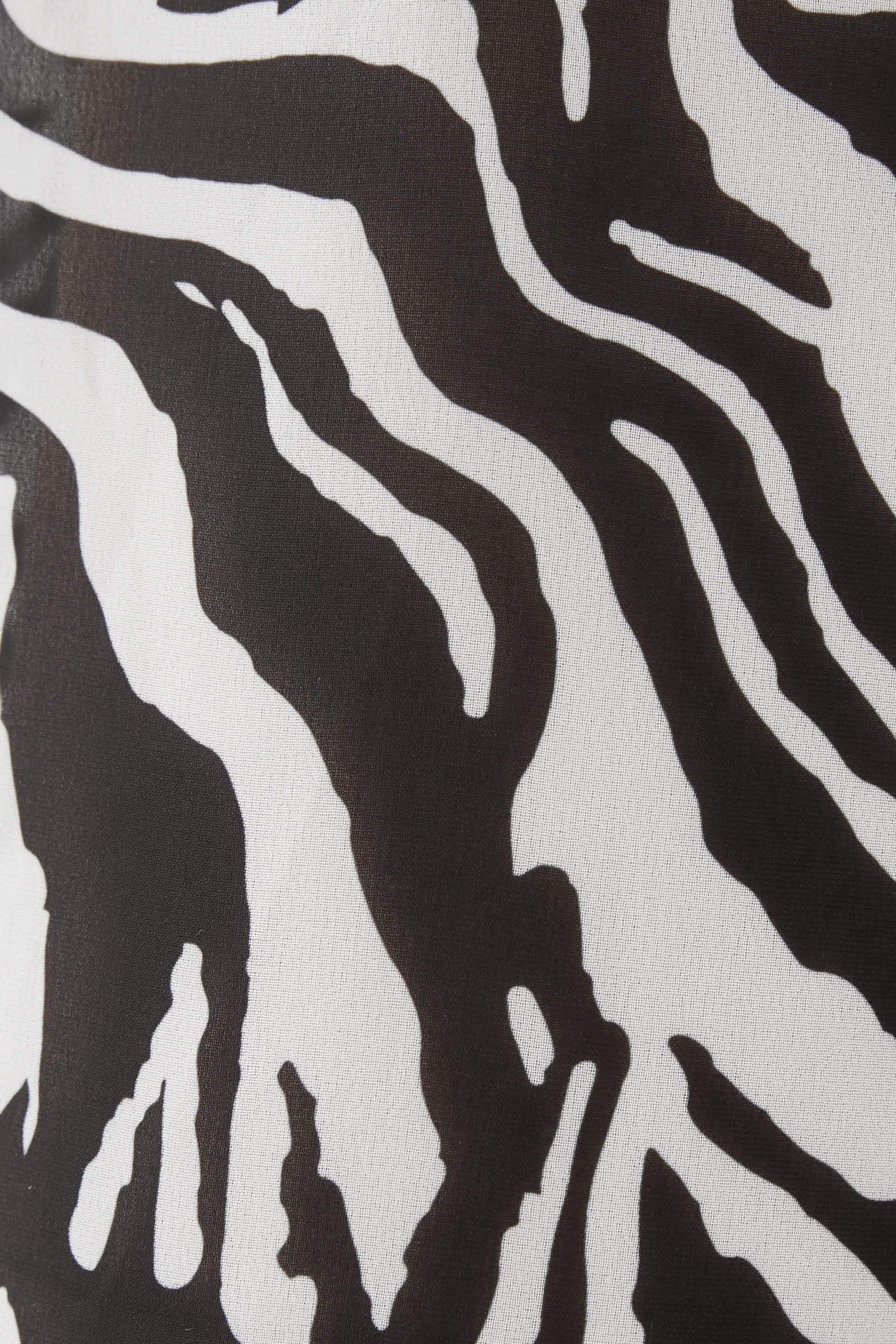 x Reina Olga Straight Zebra Pants