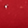 BARE RASPBERRY 201
