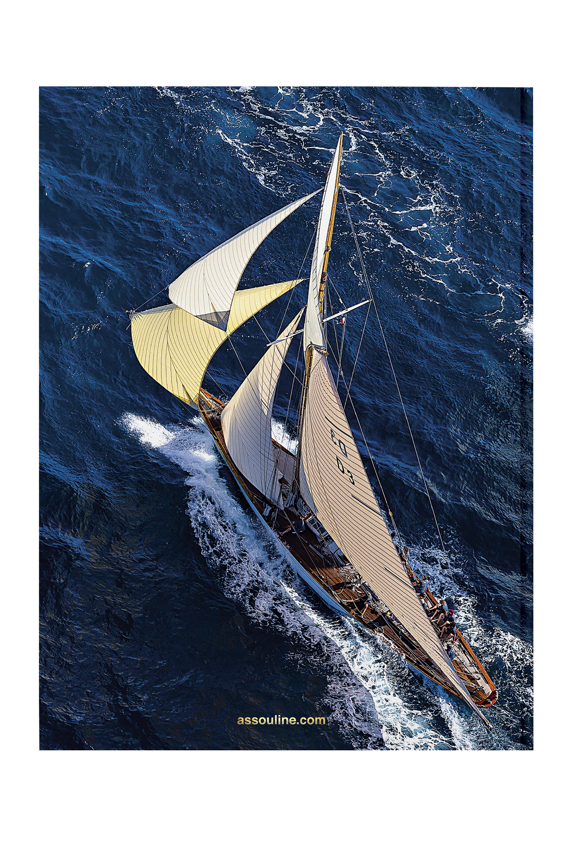 Yacht Club de Monaco