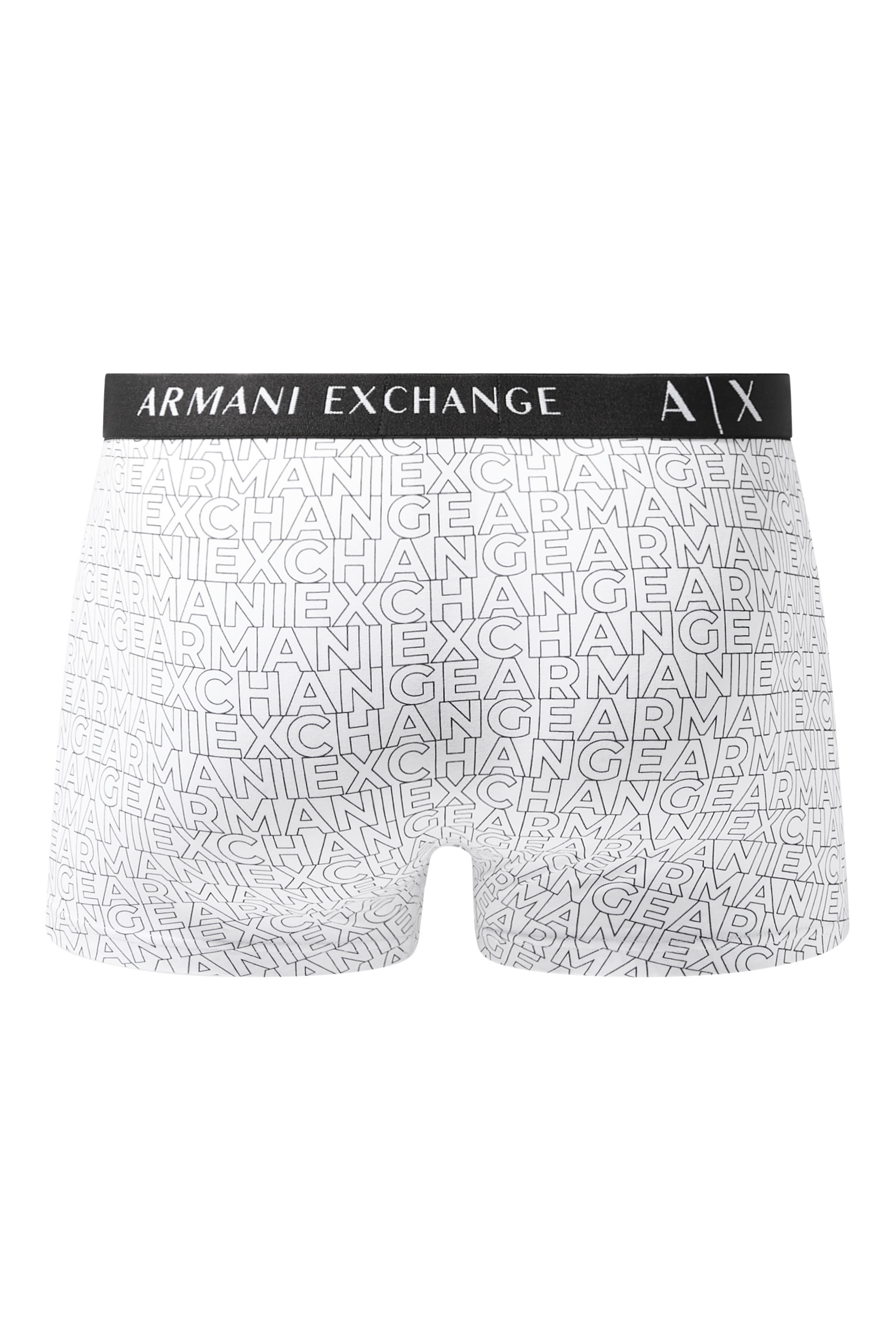 Urban Expedition Trunks