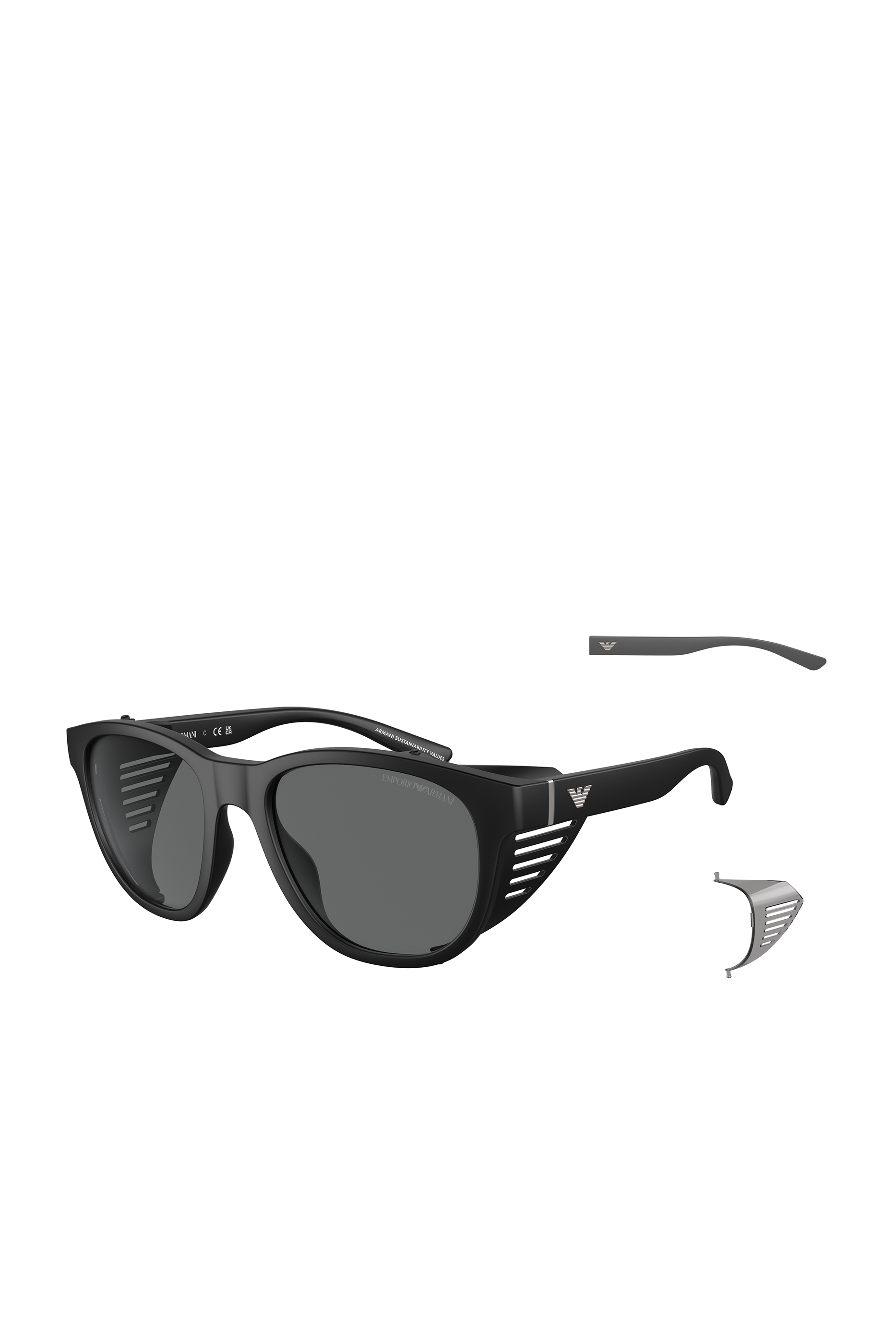 D-Frame Sunglasses With Interchangeable Temples