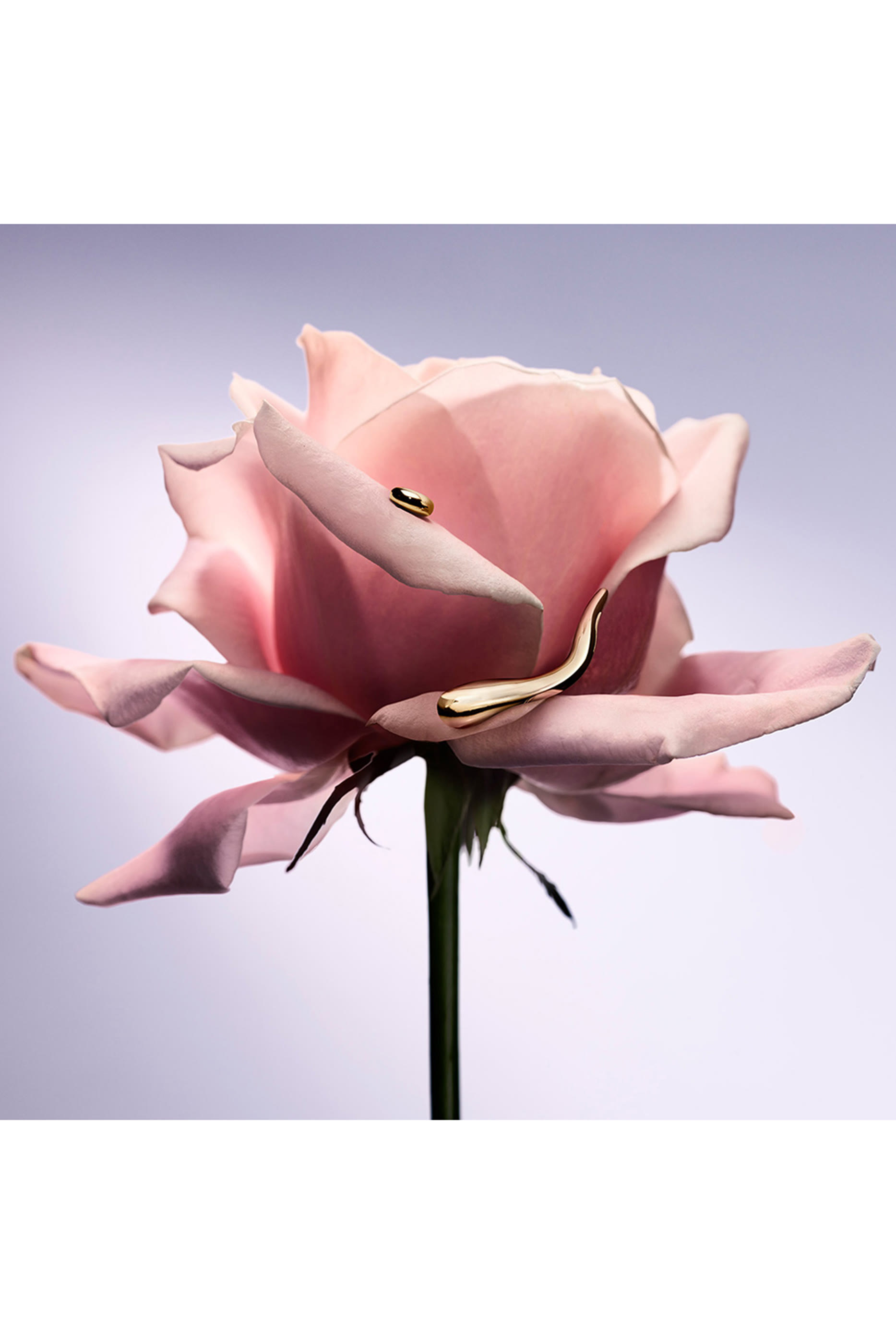 La vie est Belle Gold L'Extrait Eau De Parfum