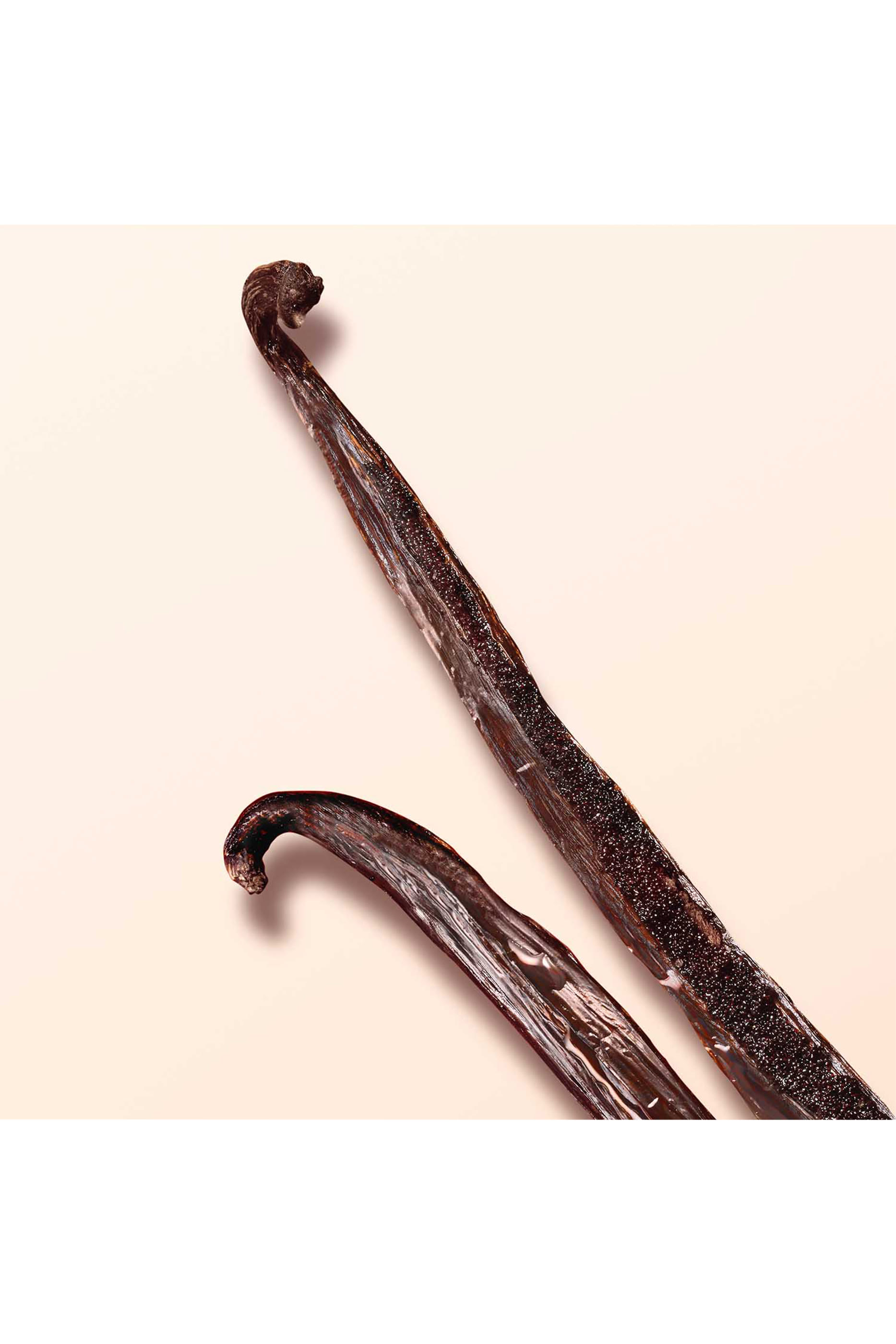 S&igrave; Nude Bloom Eau de Parfum