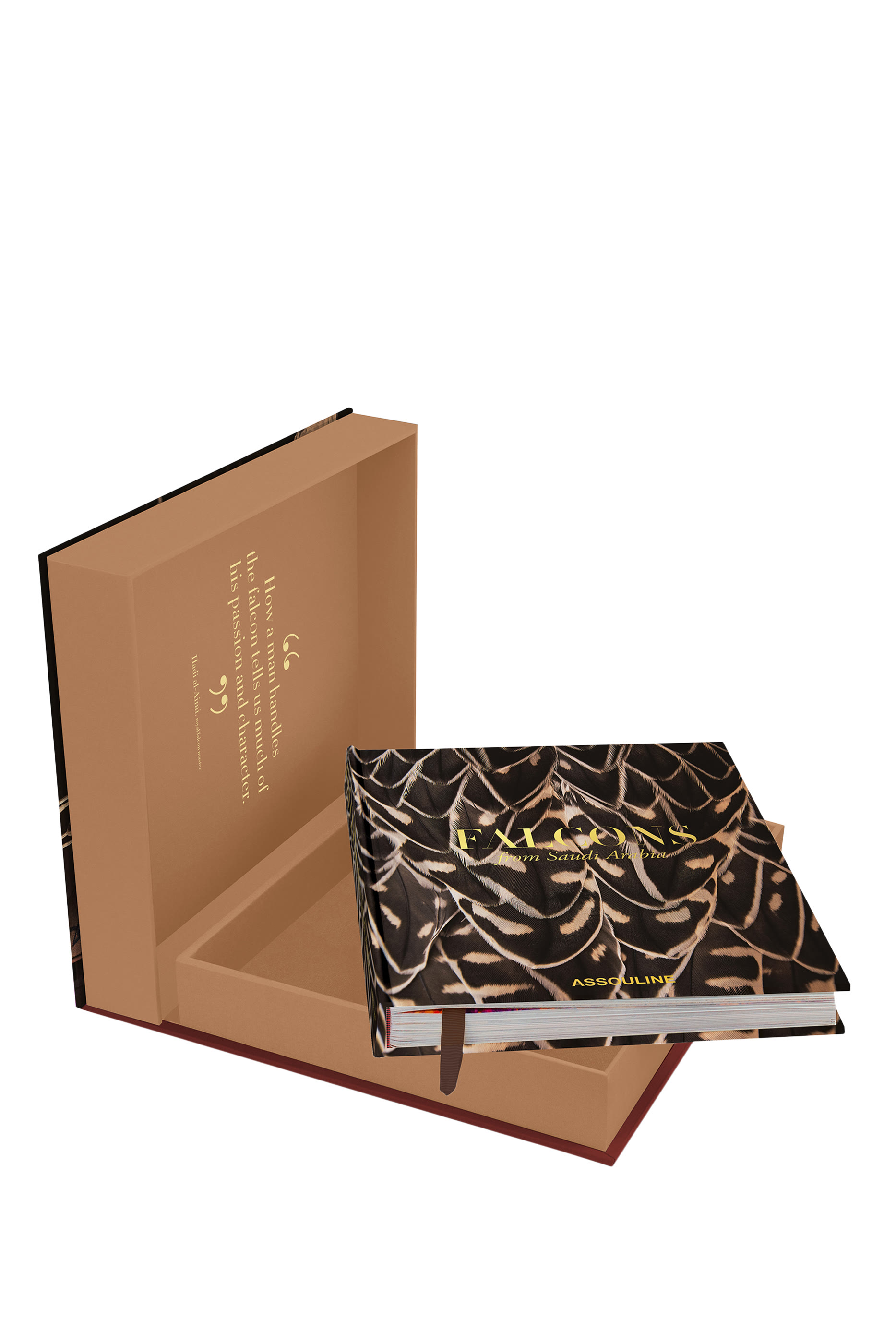 Falcons From Saudi Arabia