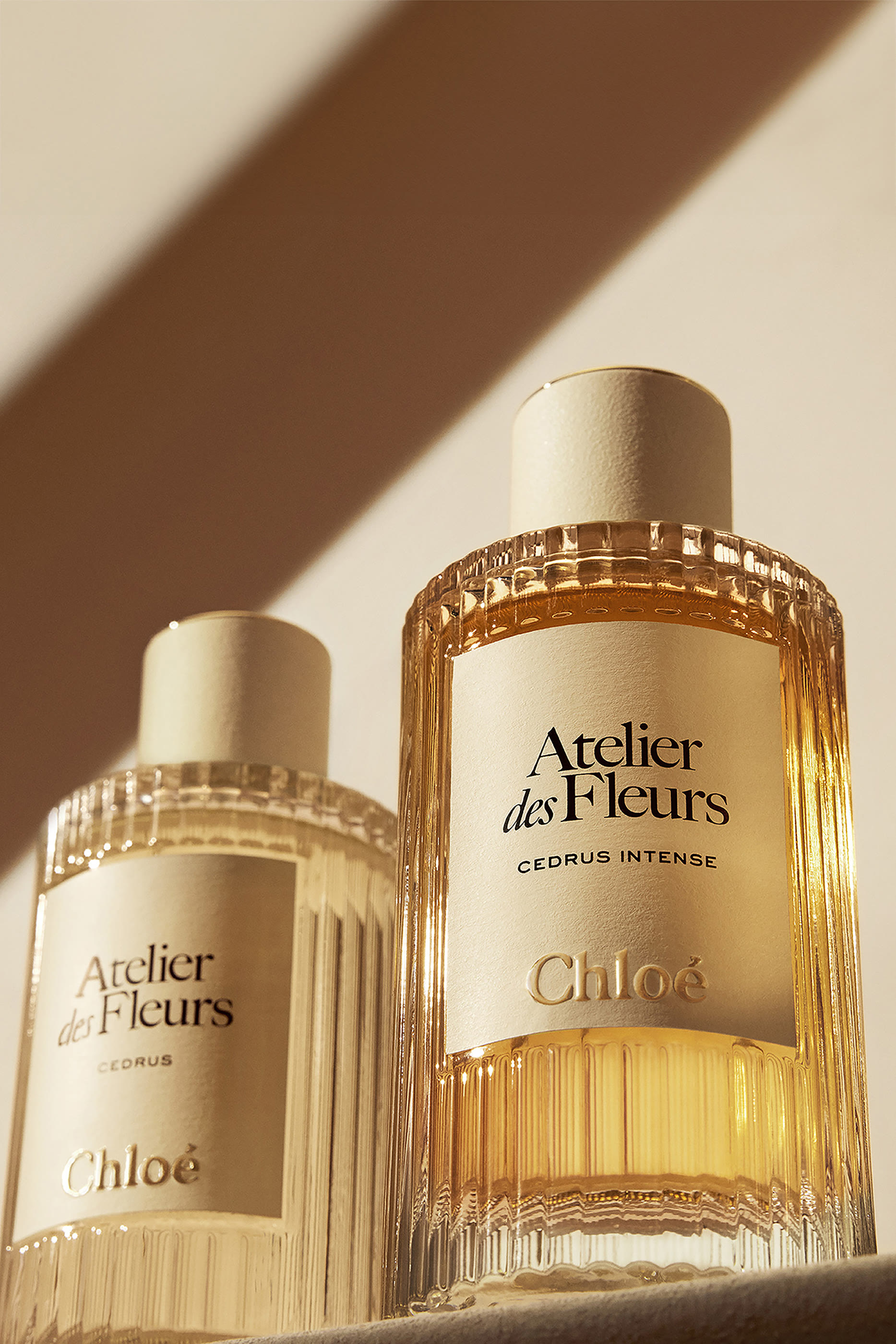 Atelier des Fleurs Cedrus Intense Eau de Parfum