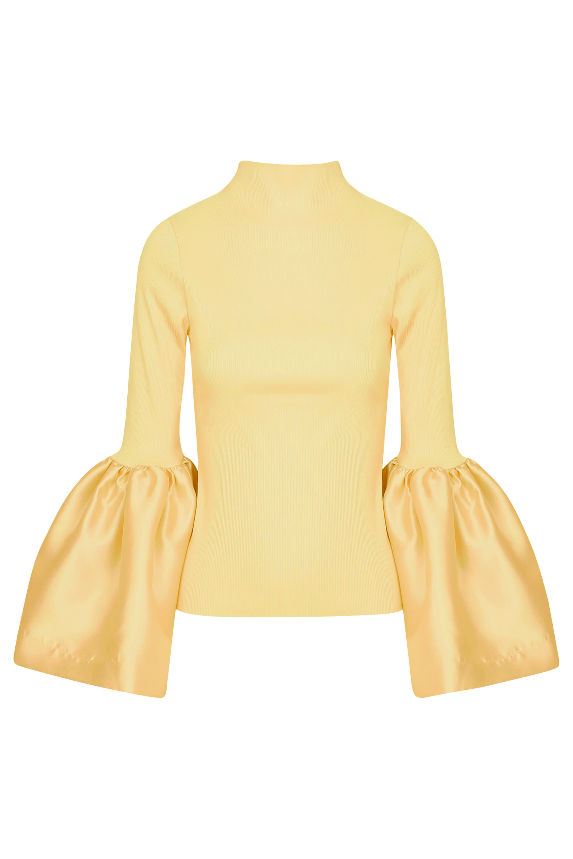 Turtleneck Puff Sleeve Top 