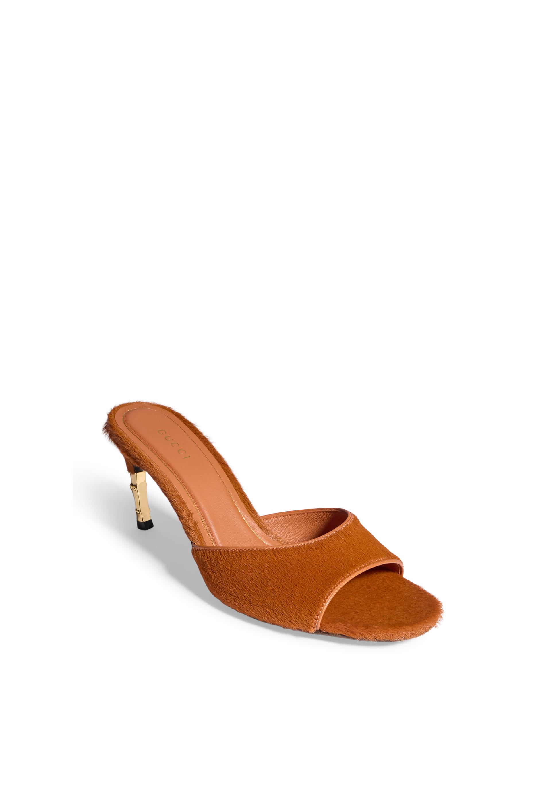 Bamboo Motif 75 Slides 