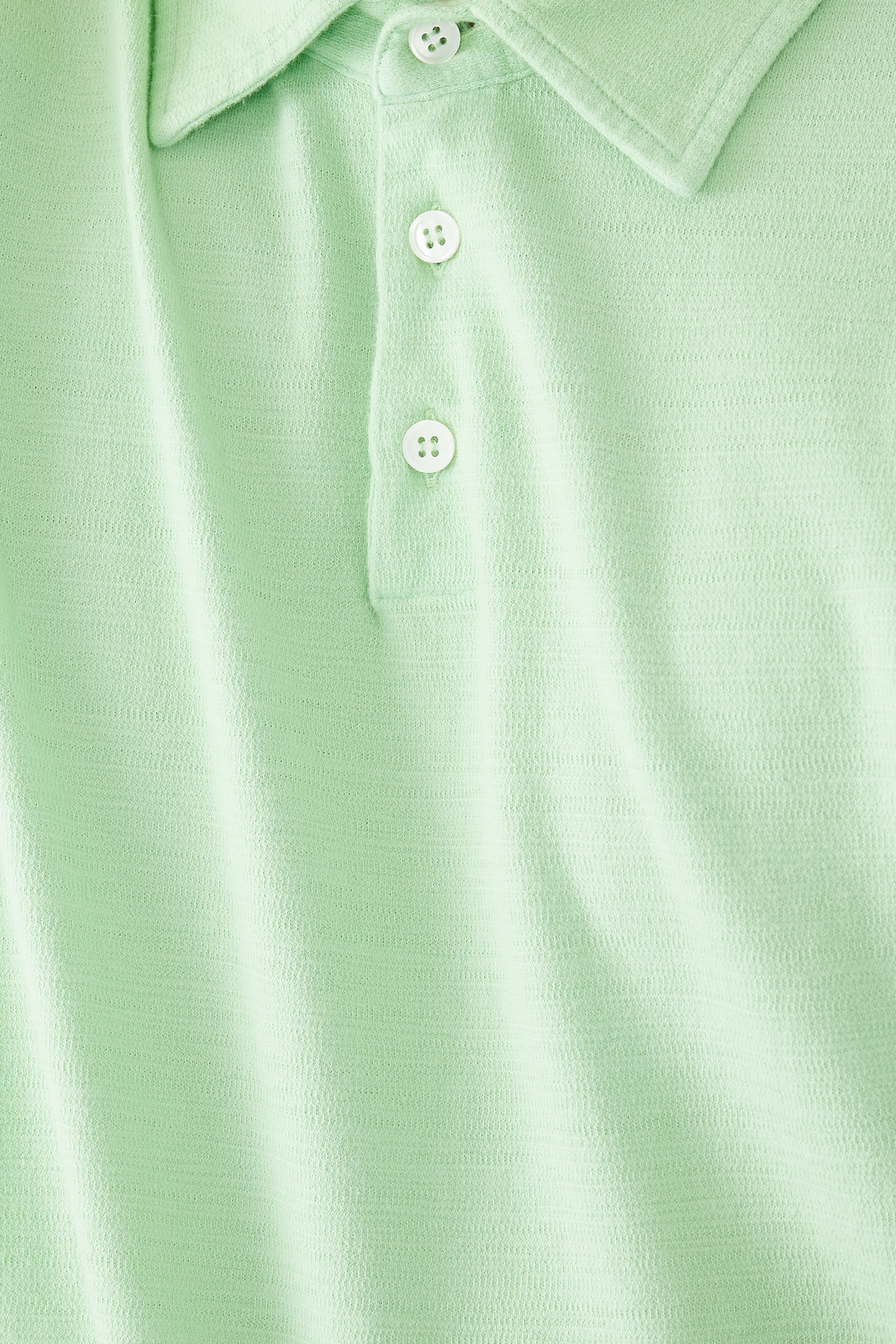 Zanone Organic Cotton Polo Shirt