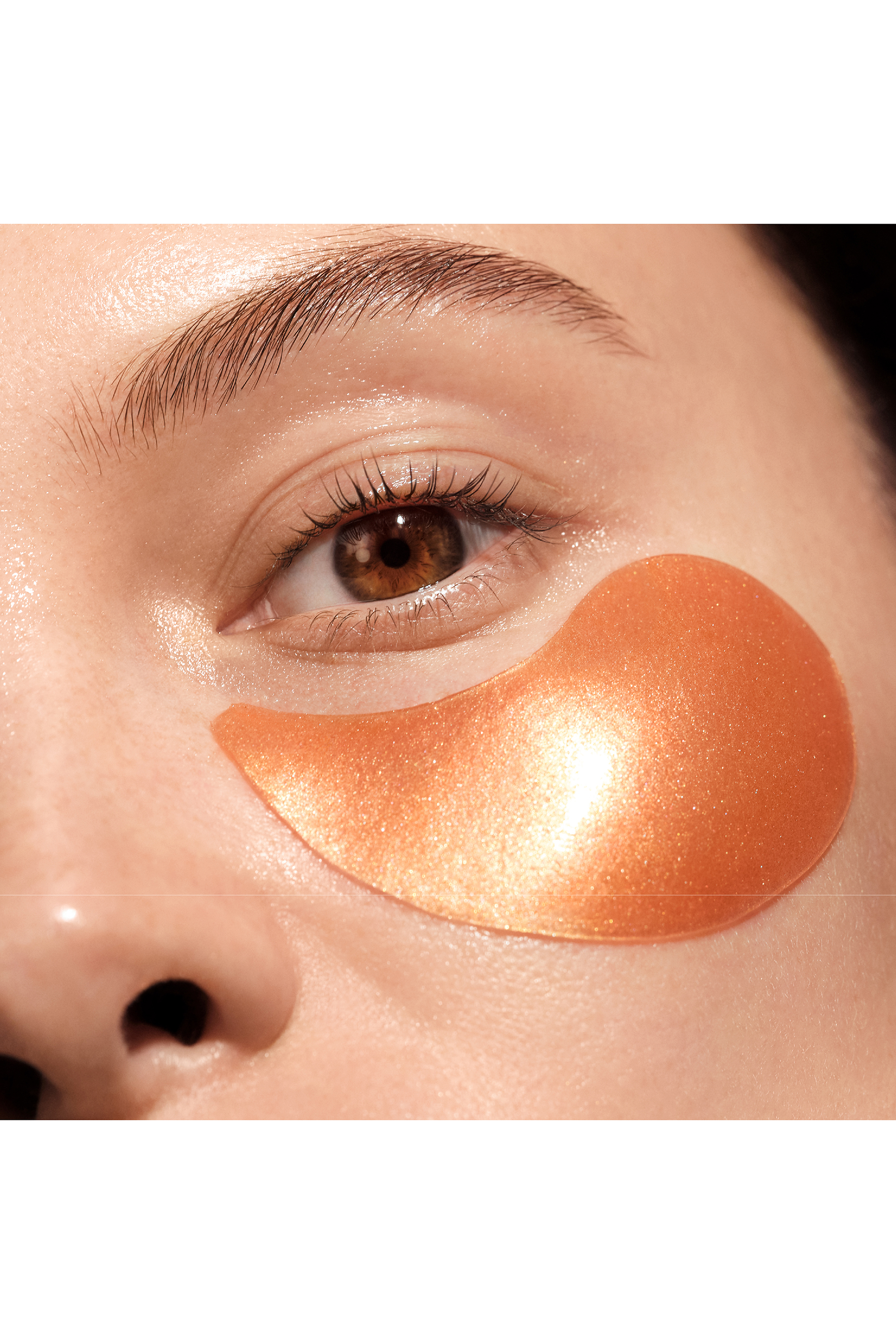 The Illuminating Collection