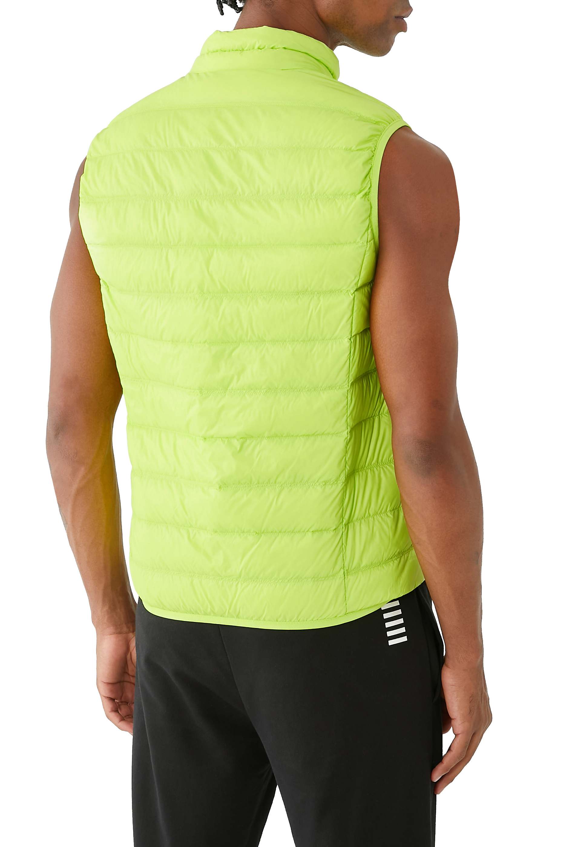 EA7 Padded Gilet
