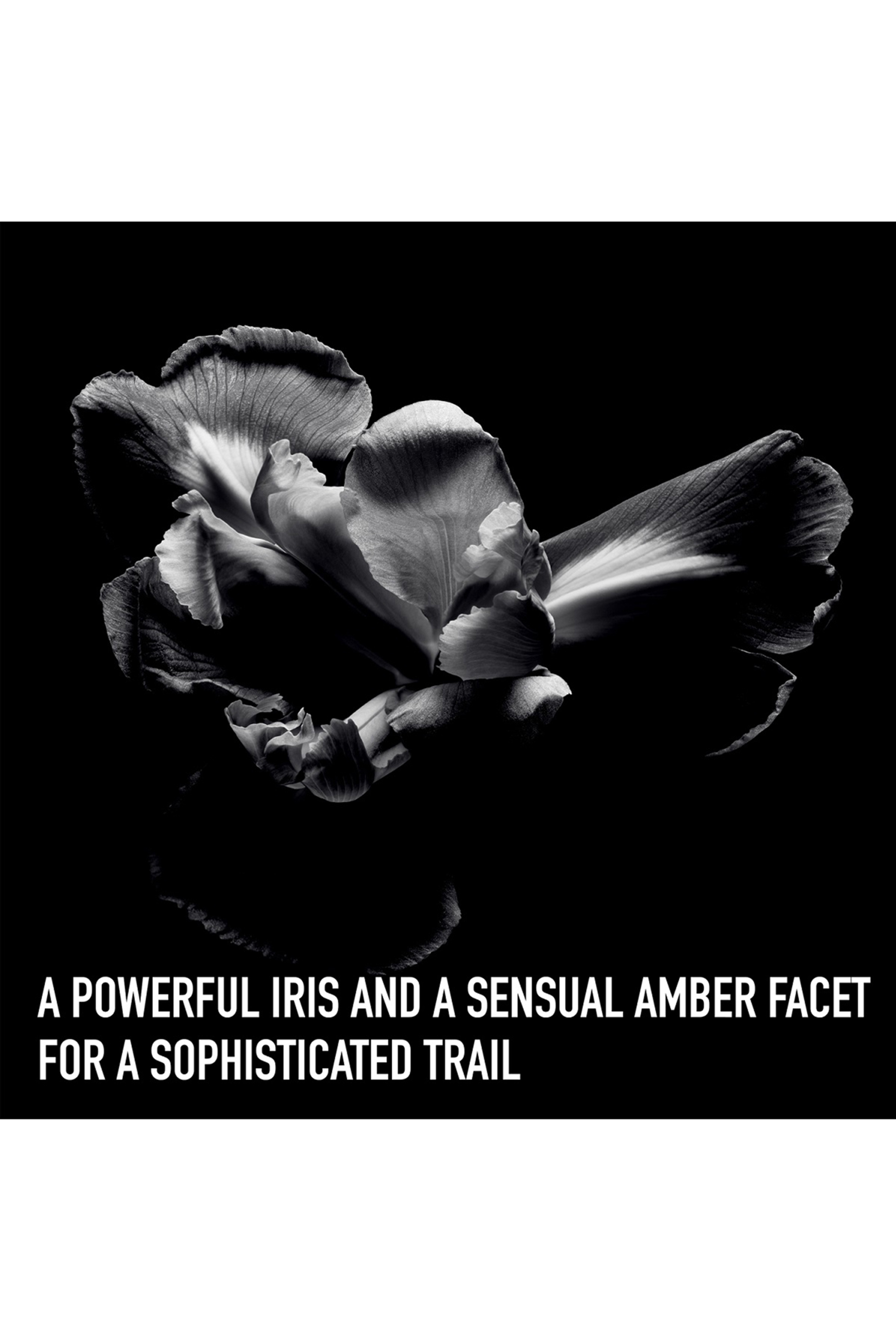 Dior Homme Intense Eau de Parfum