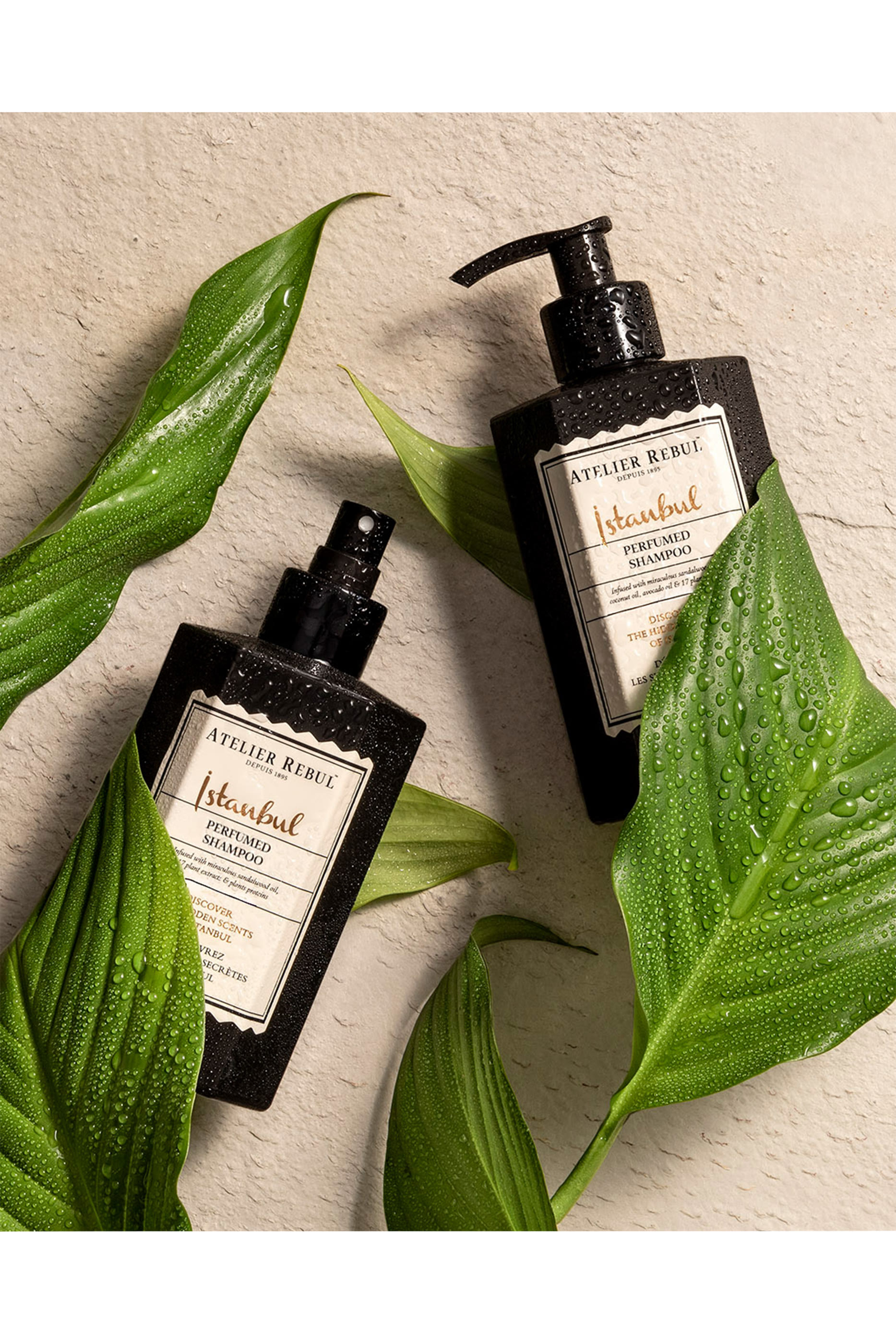 Istanbul Perfumed Shampoo