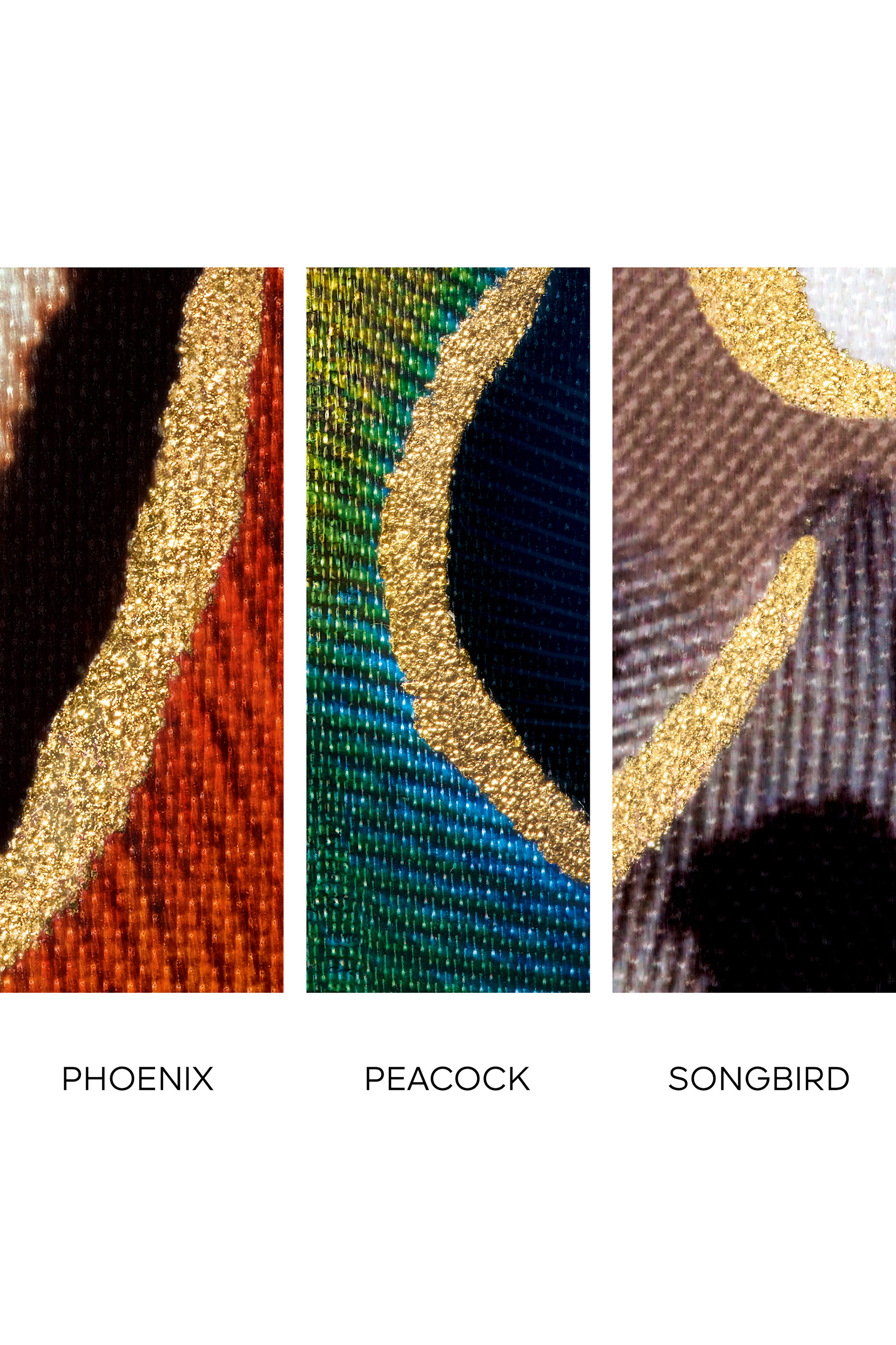 Rouge G The Phoenix Case