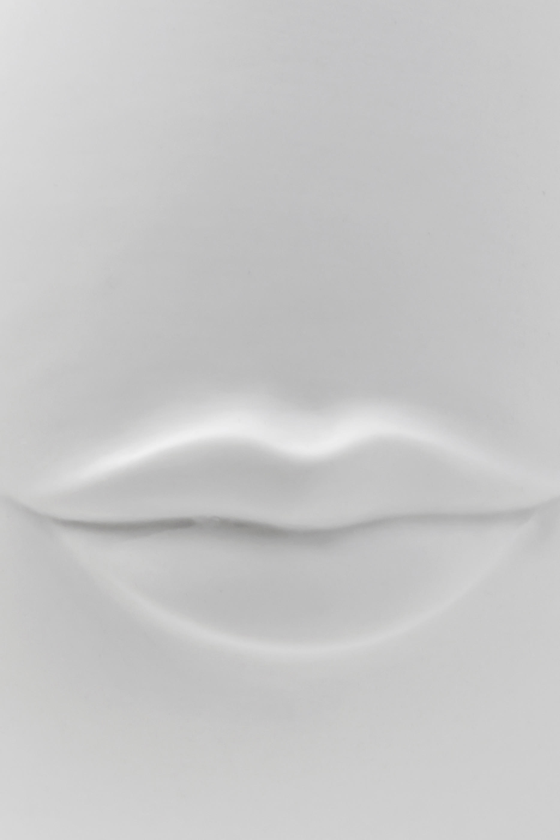 Mr & Mrs Muse Reversible Vase