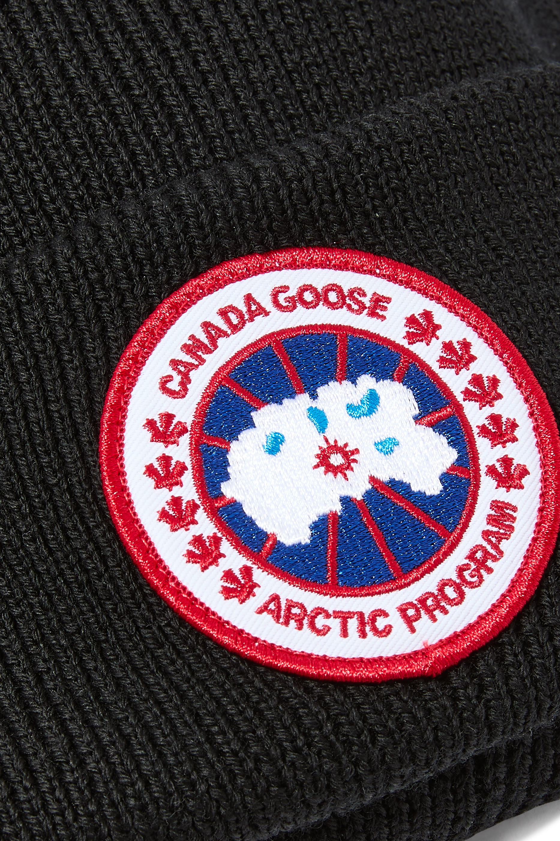 Arctic Beanie